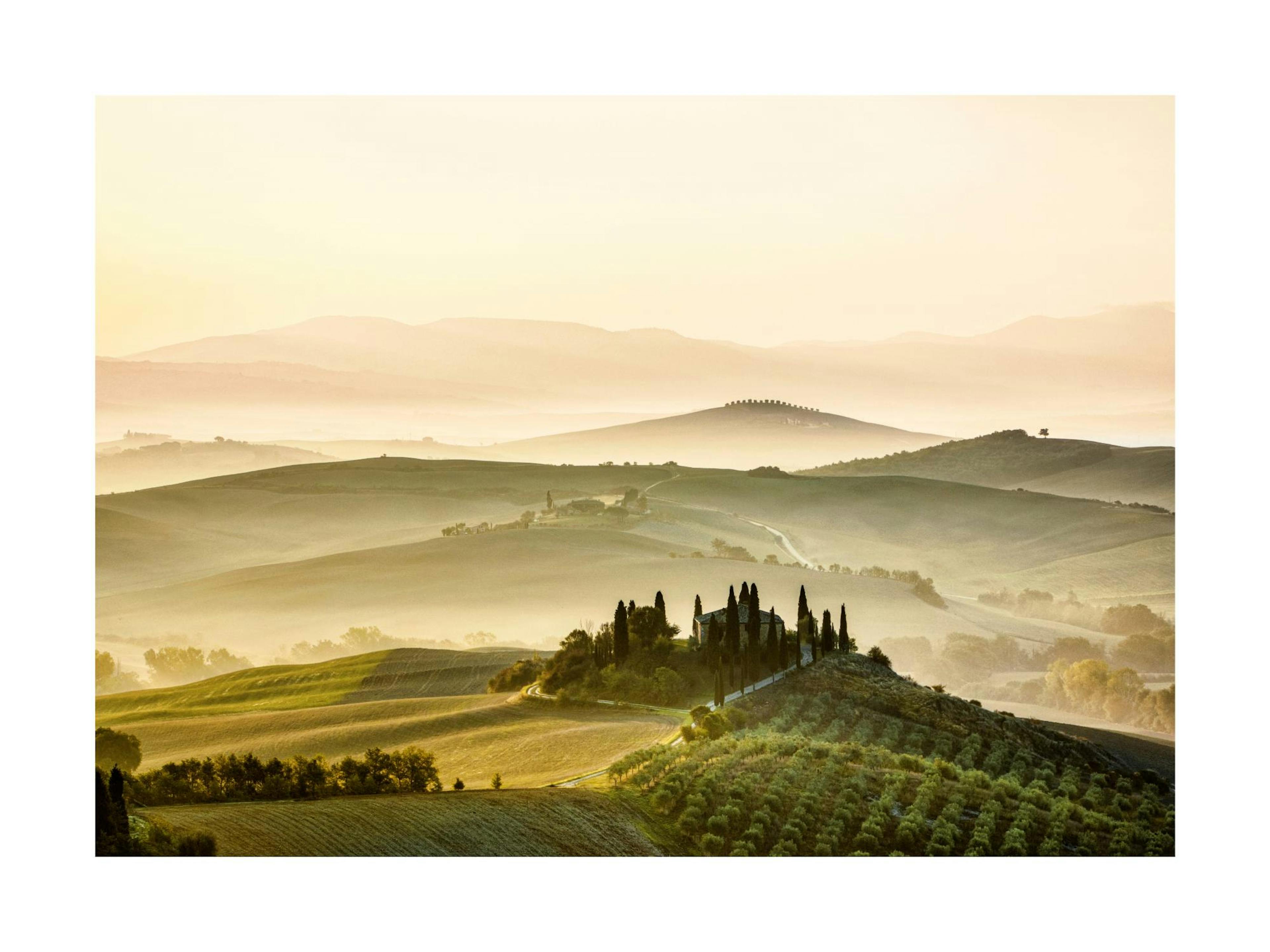 안개가 자욱한 토스카나 언덕의 풍경과 키 큰 나무들이 있는 집을 담은 포스터