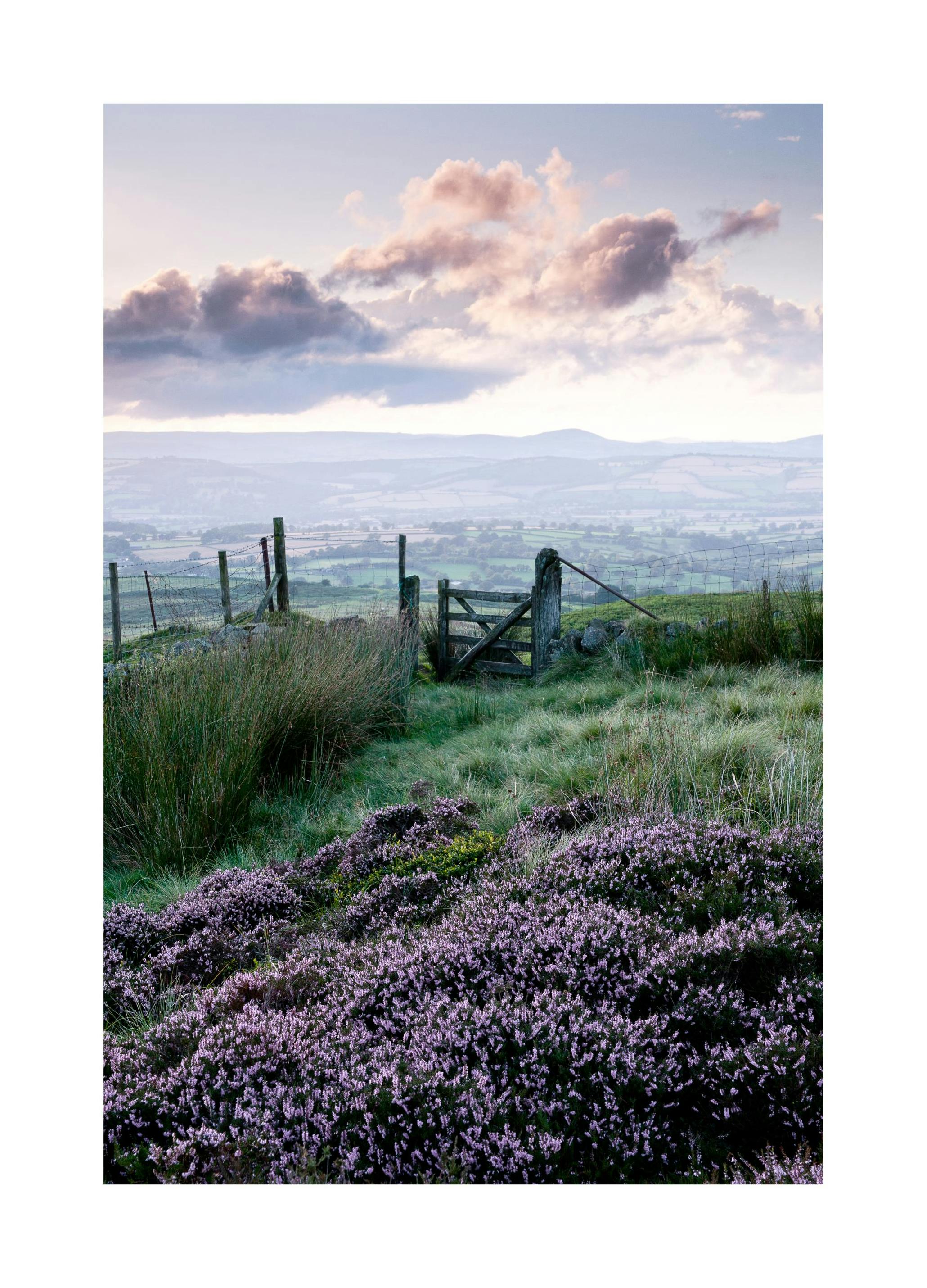 Heide Poster (30x40 cm) - Poster Store