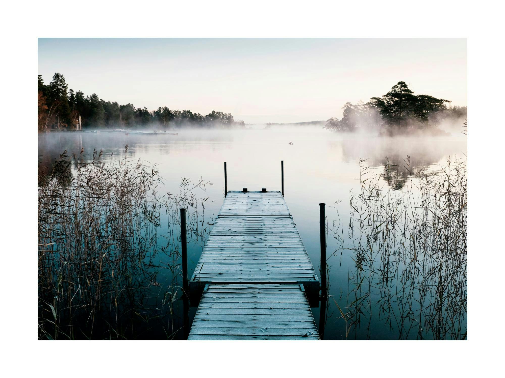 A serene poster of a wooden pier extending into a misty lake, surrounded by tall reeds and distant trees.