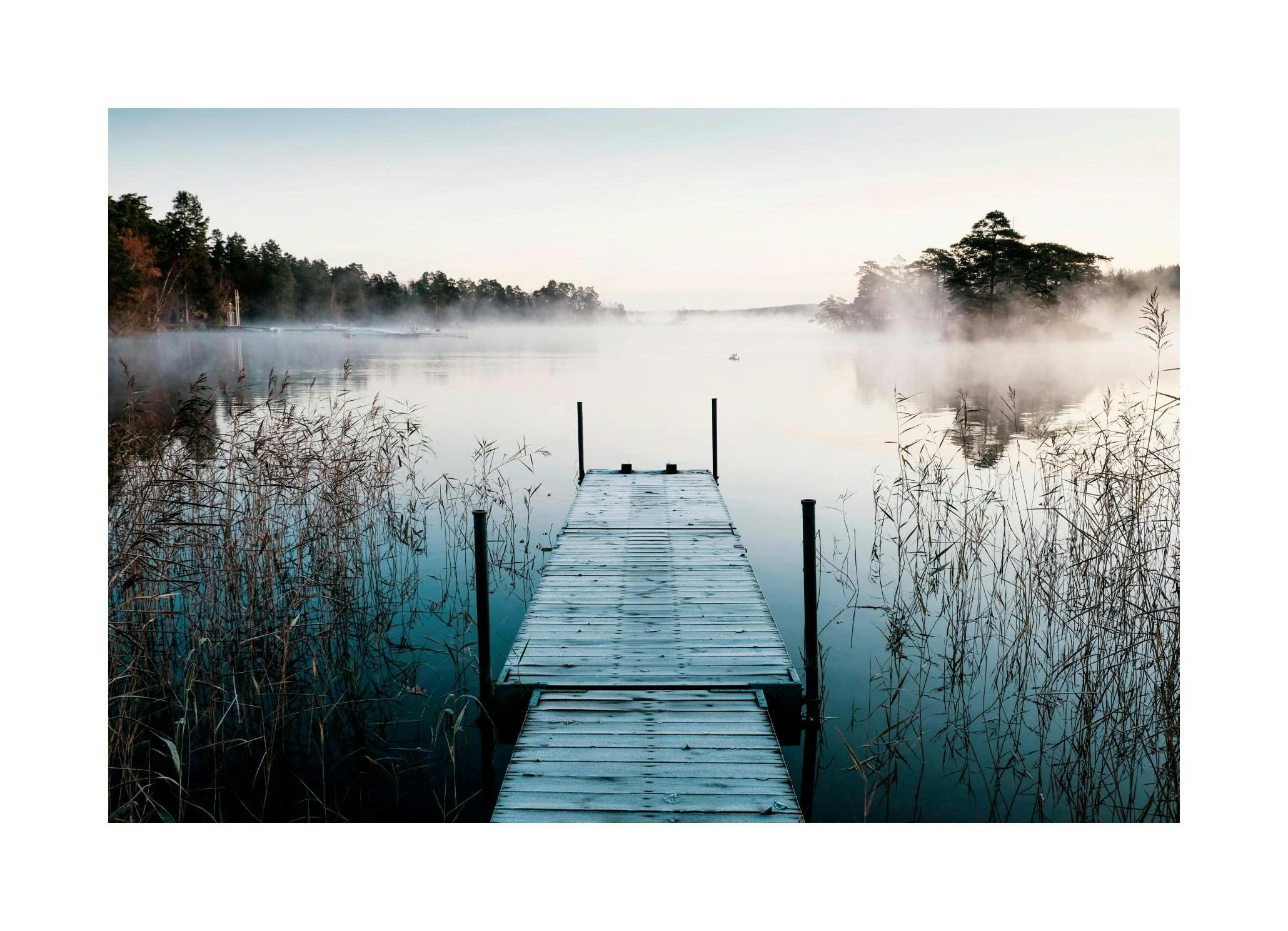 Steiger ochtend mist poster (30x40 cm) - Poster Store