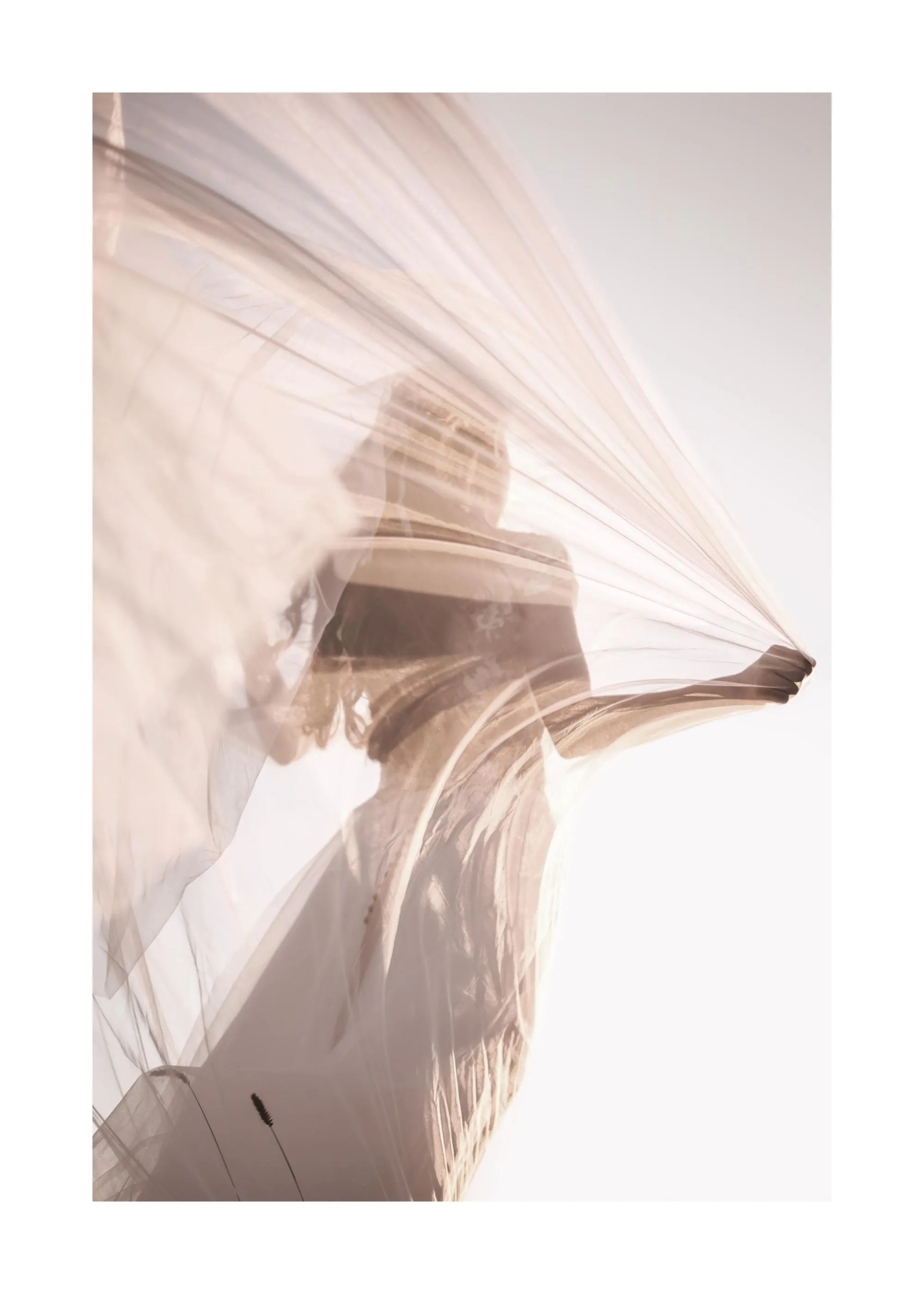 A poster featuring a silhouette of a woman in a flowing white dress, holding up a sheer fabric against a bright background.