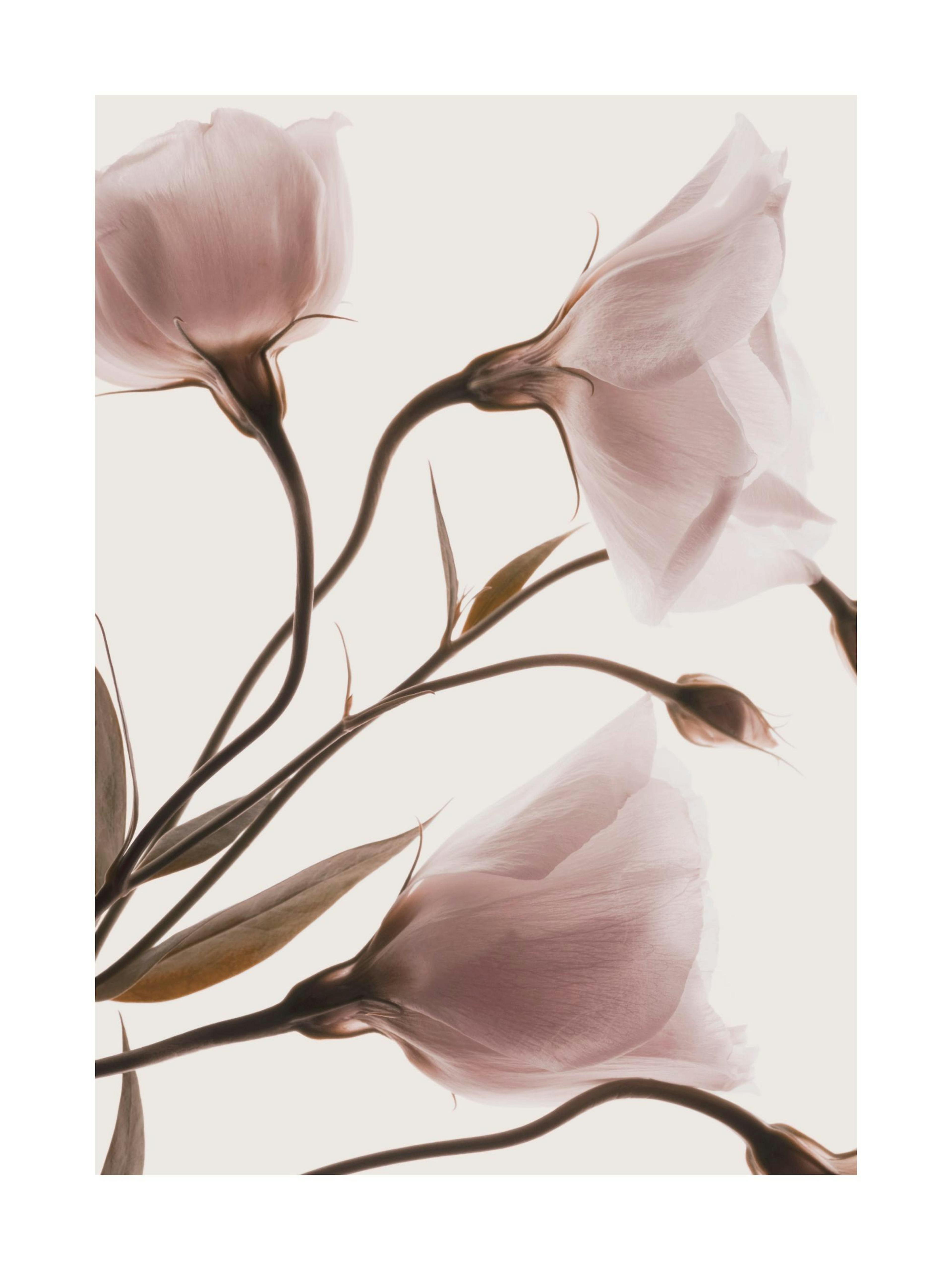 Product image: 1