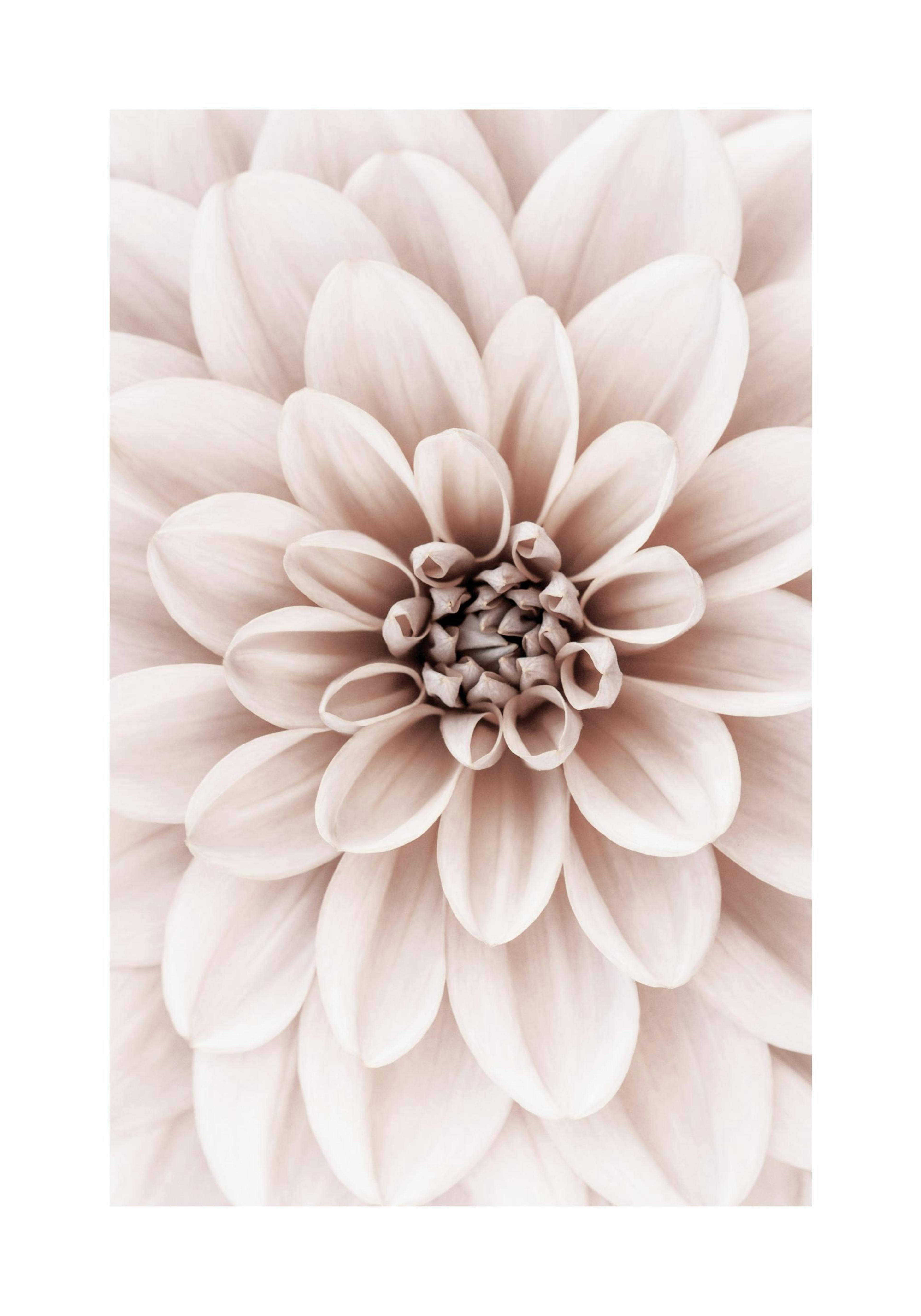 Product image: 1