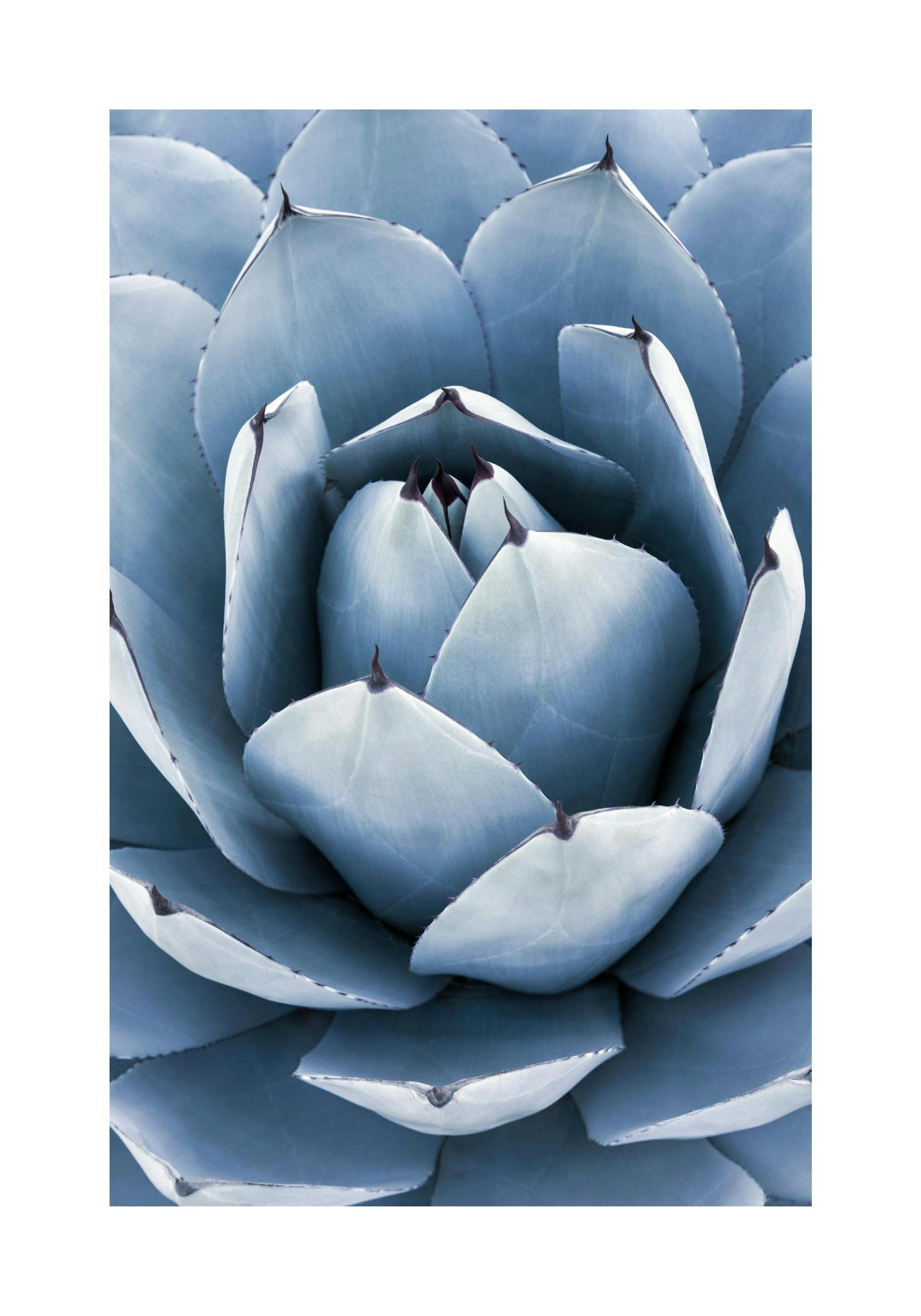 Product image: 1