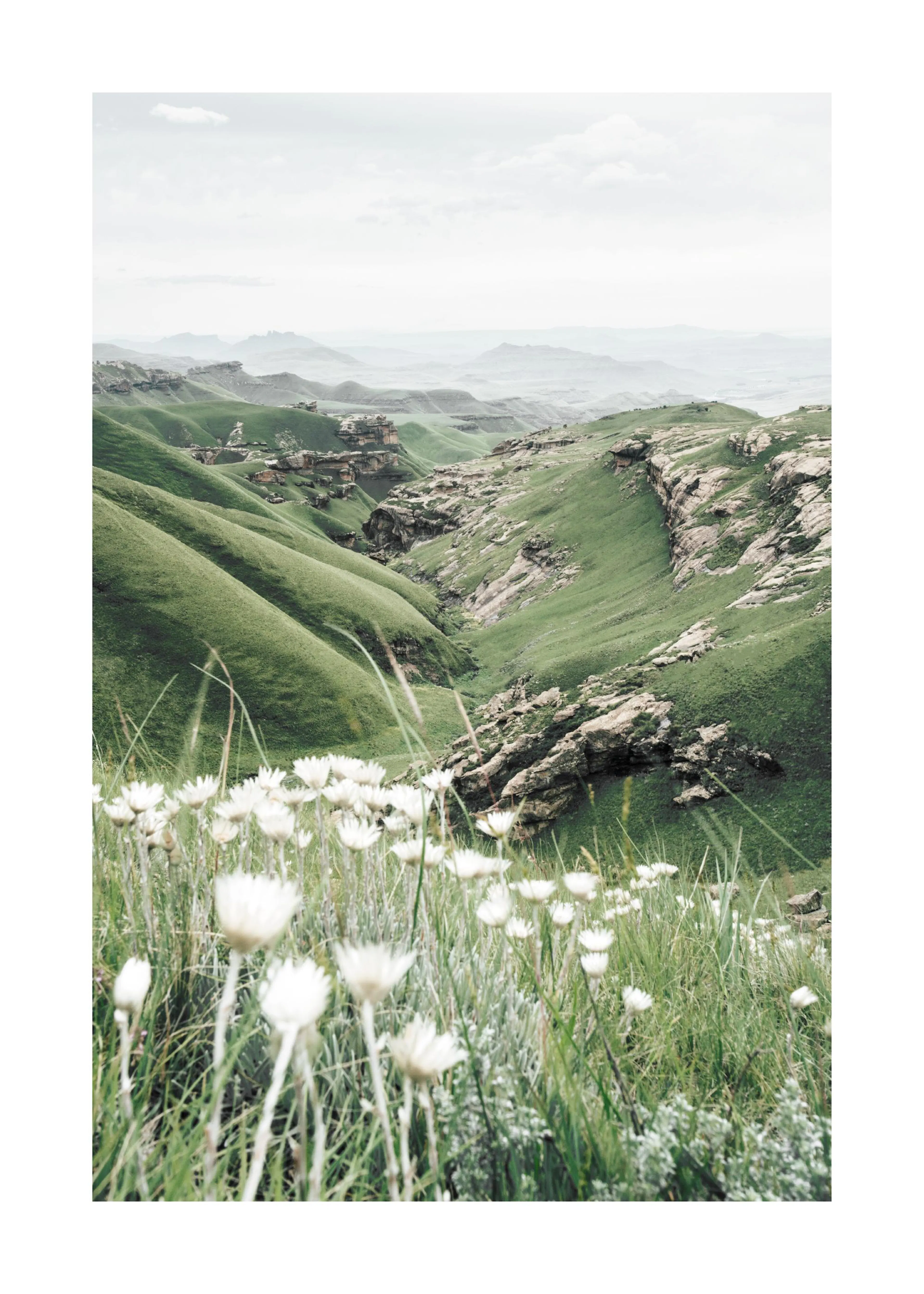 Un poster dun paysage de collines verdoyantes et de falaises rocheuses, avec des fleurs blanches au premier plan.