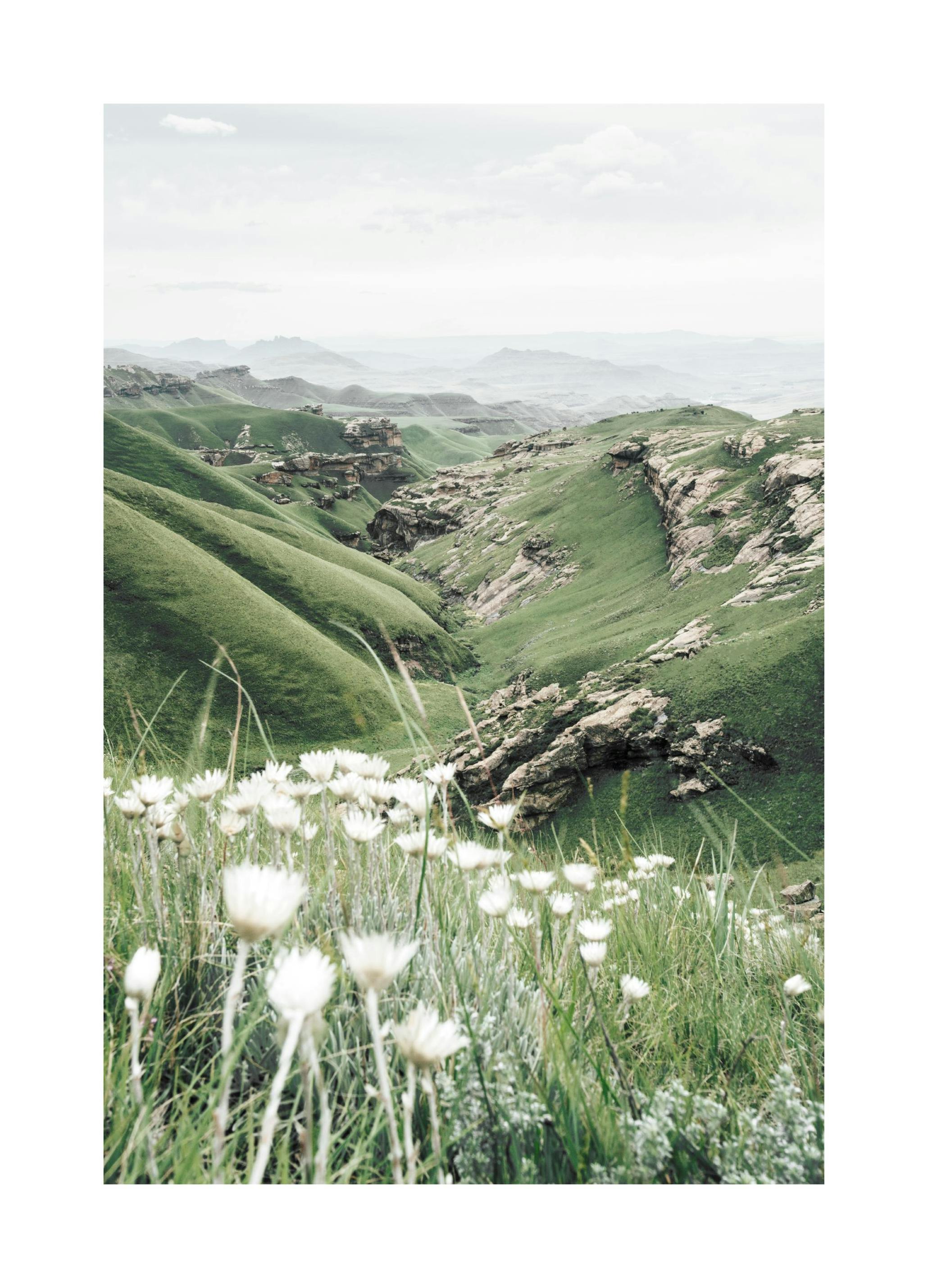 Mountain Valley in Bloom Poster (21x30 cm) - Poster Store