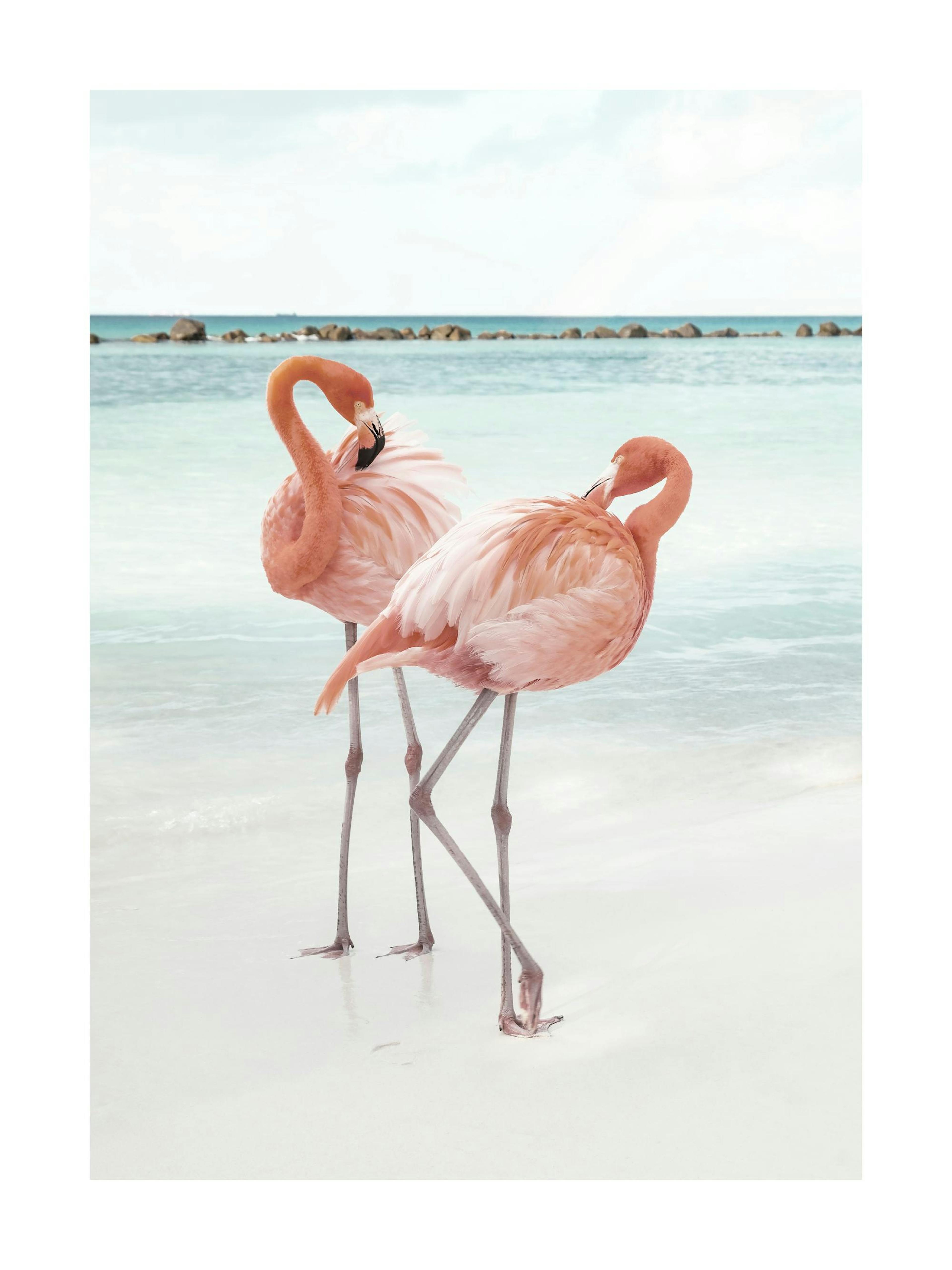 A poster featuring two pink flamingos standing in shallow clear water on a white sandy beach.