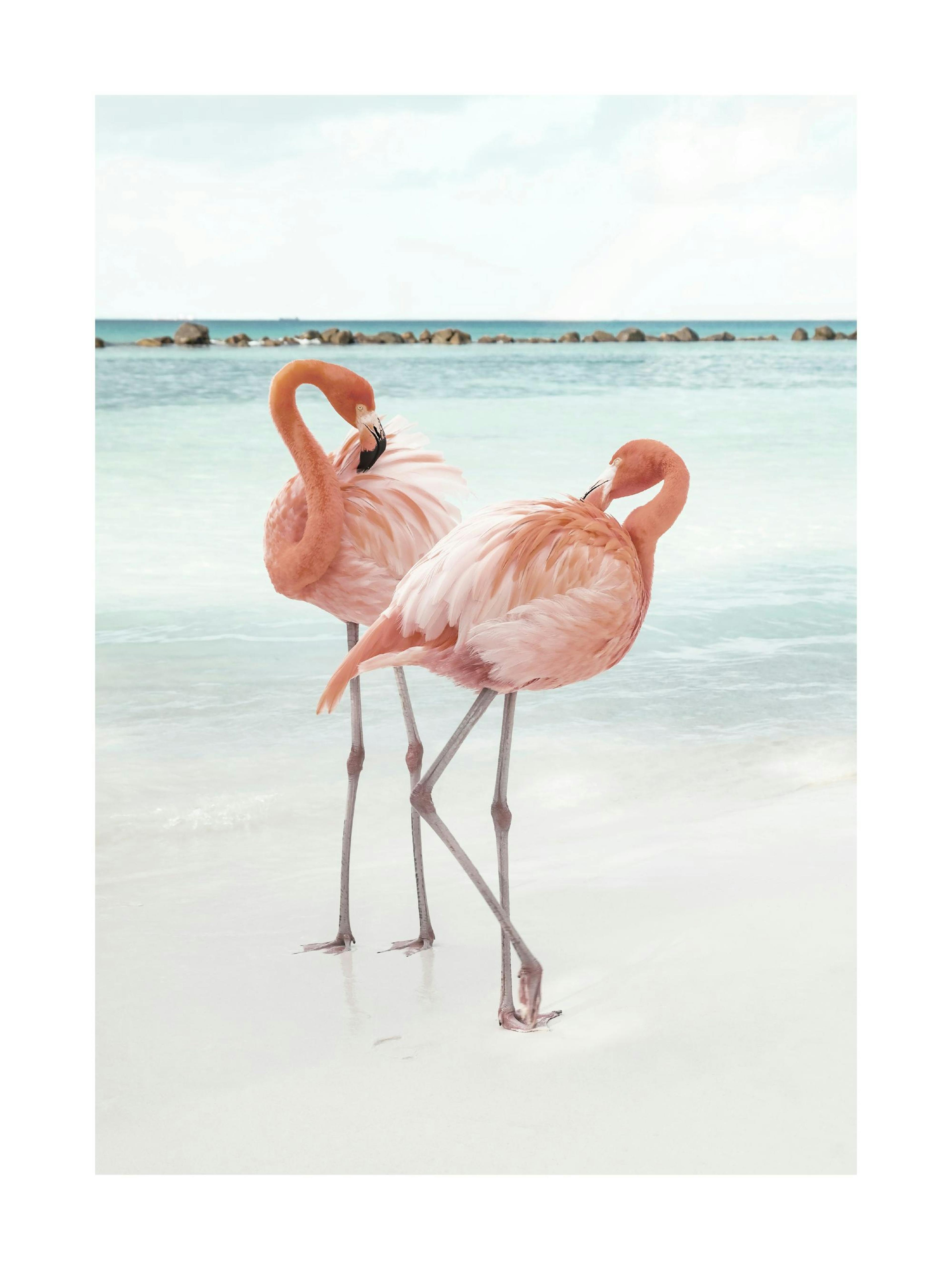 Product image: 1