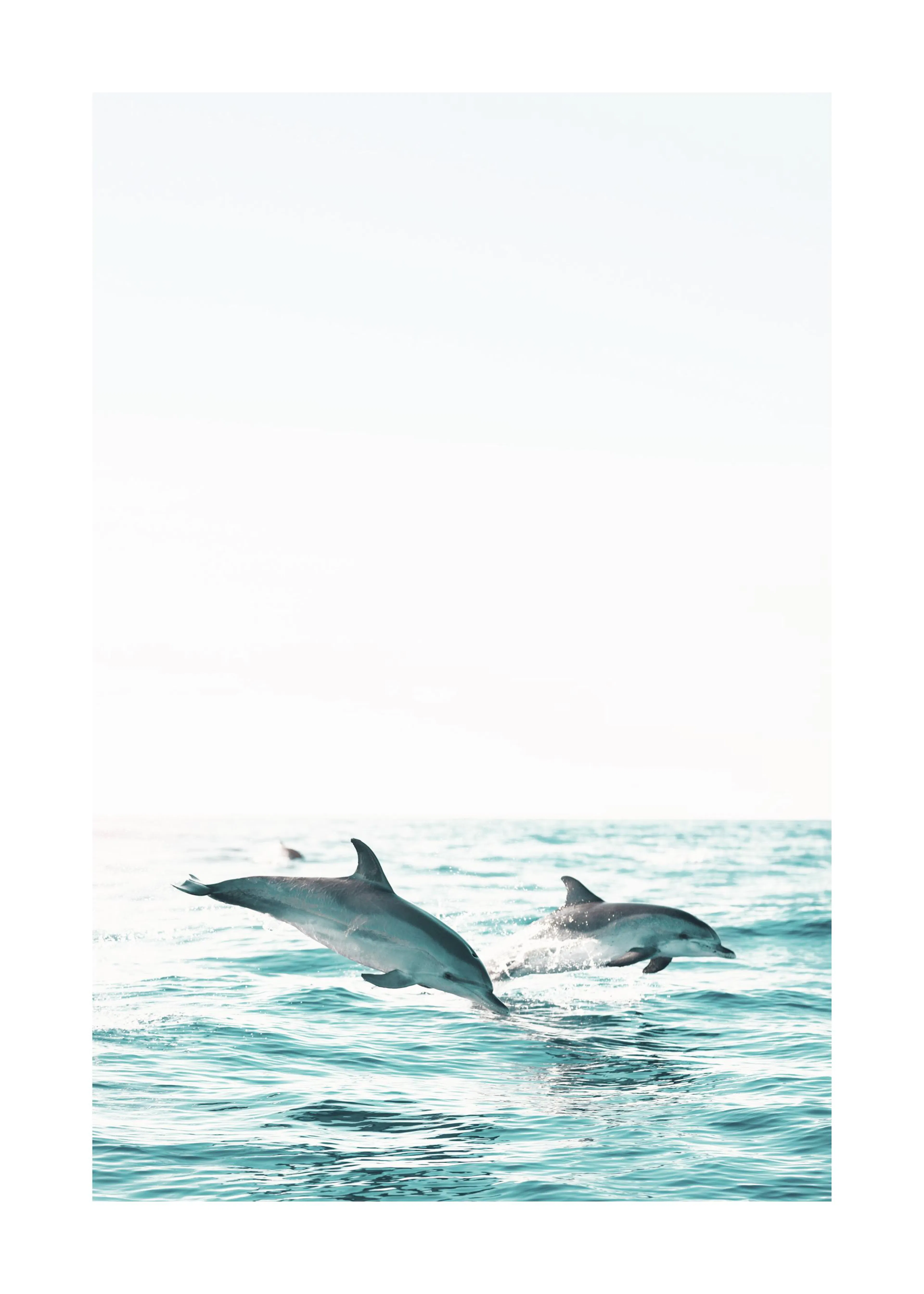 A poster featuring two dolphins leaping out of turquoise ocean water against a bright sky.