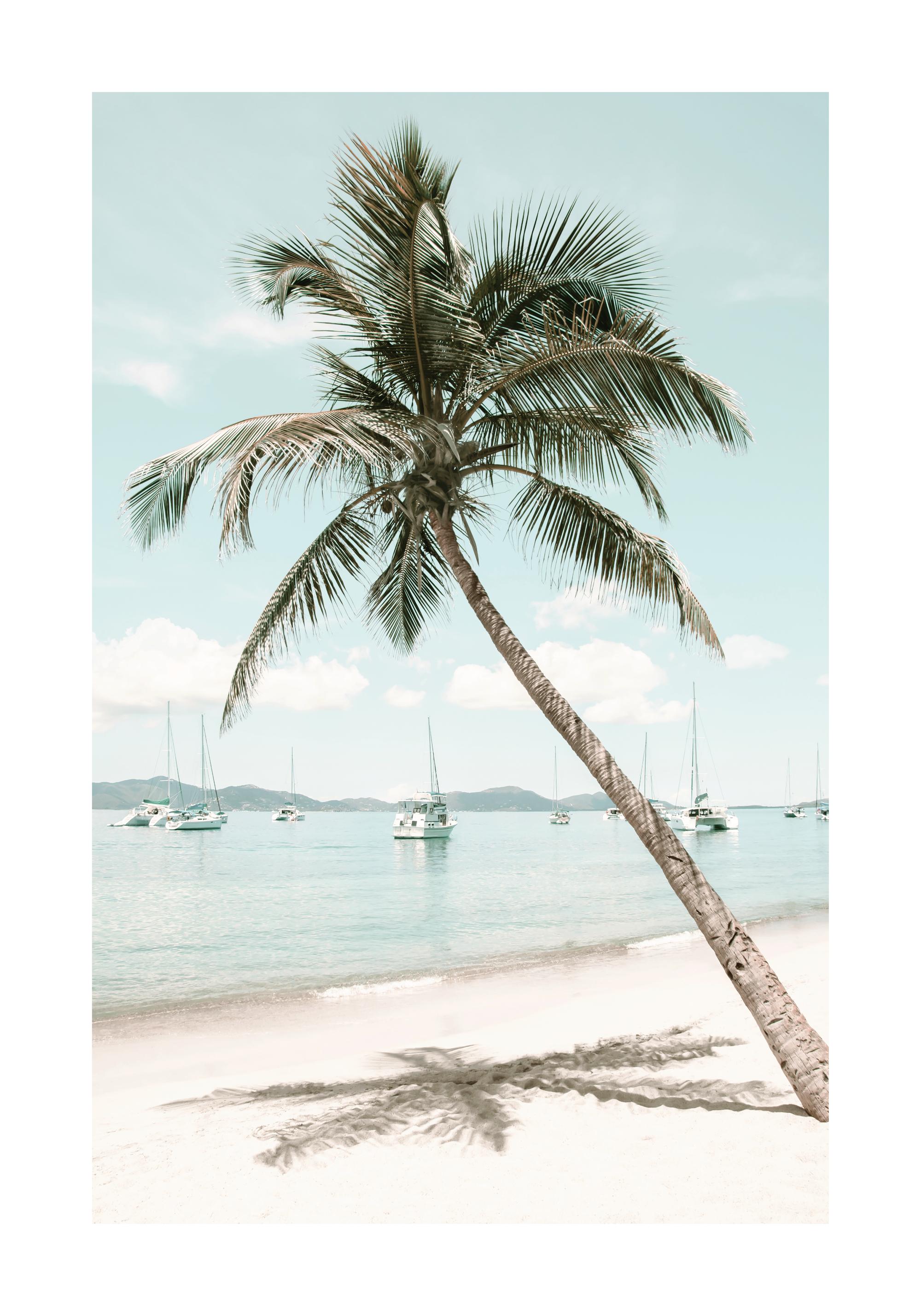 6862a0b992c536b9cc928d16_13832