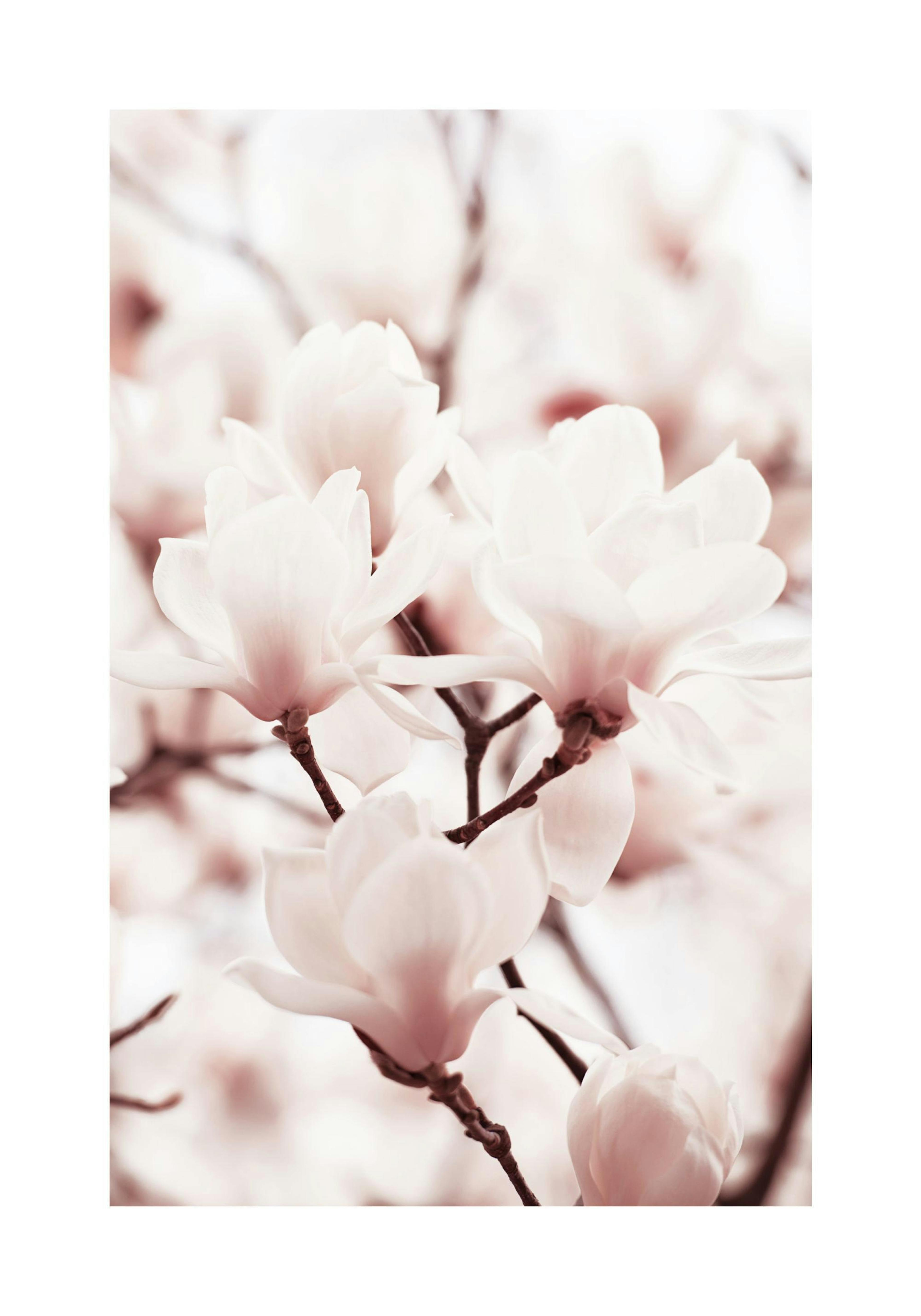 Product image: 1