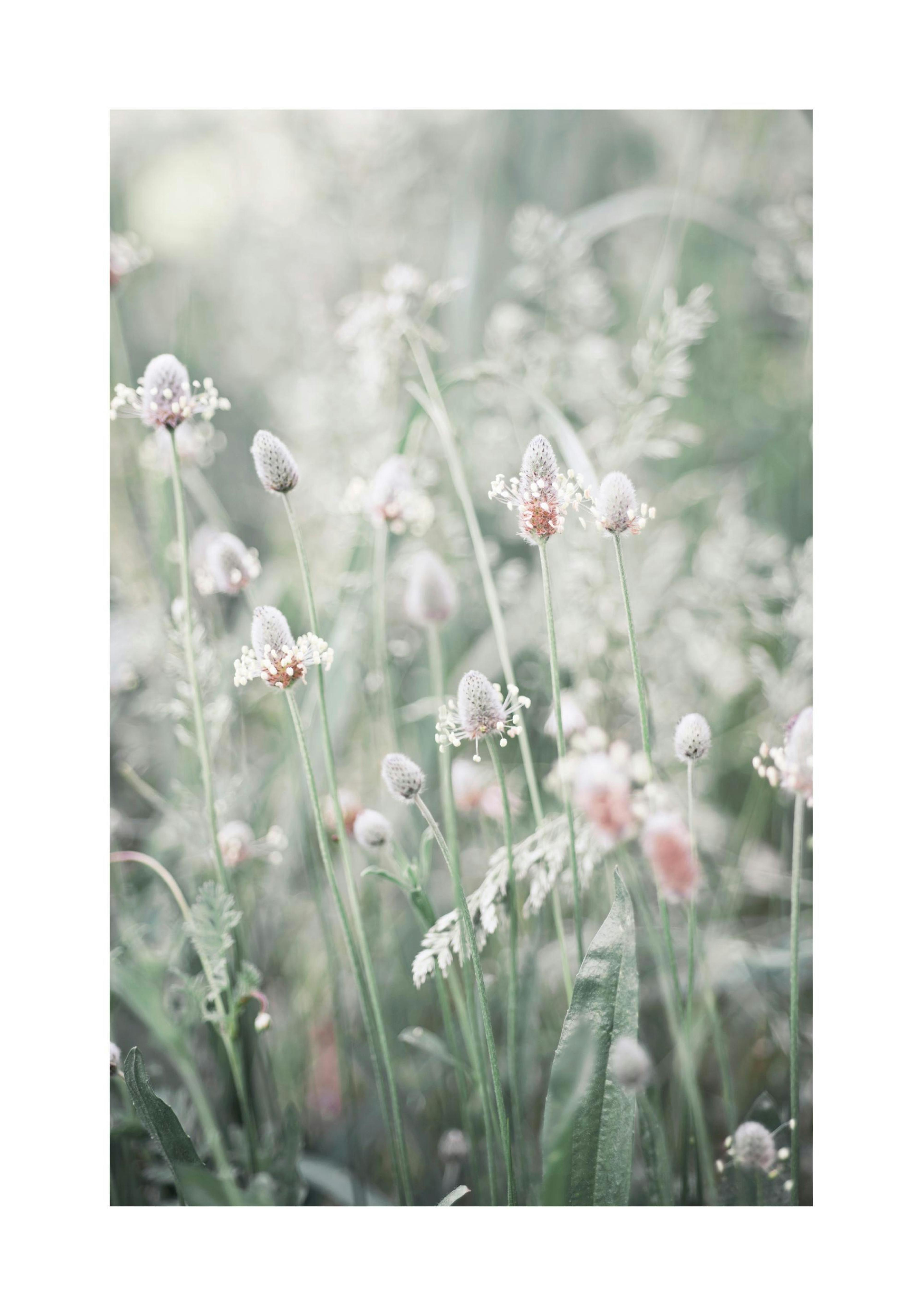 Product image: 1