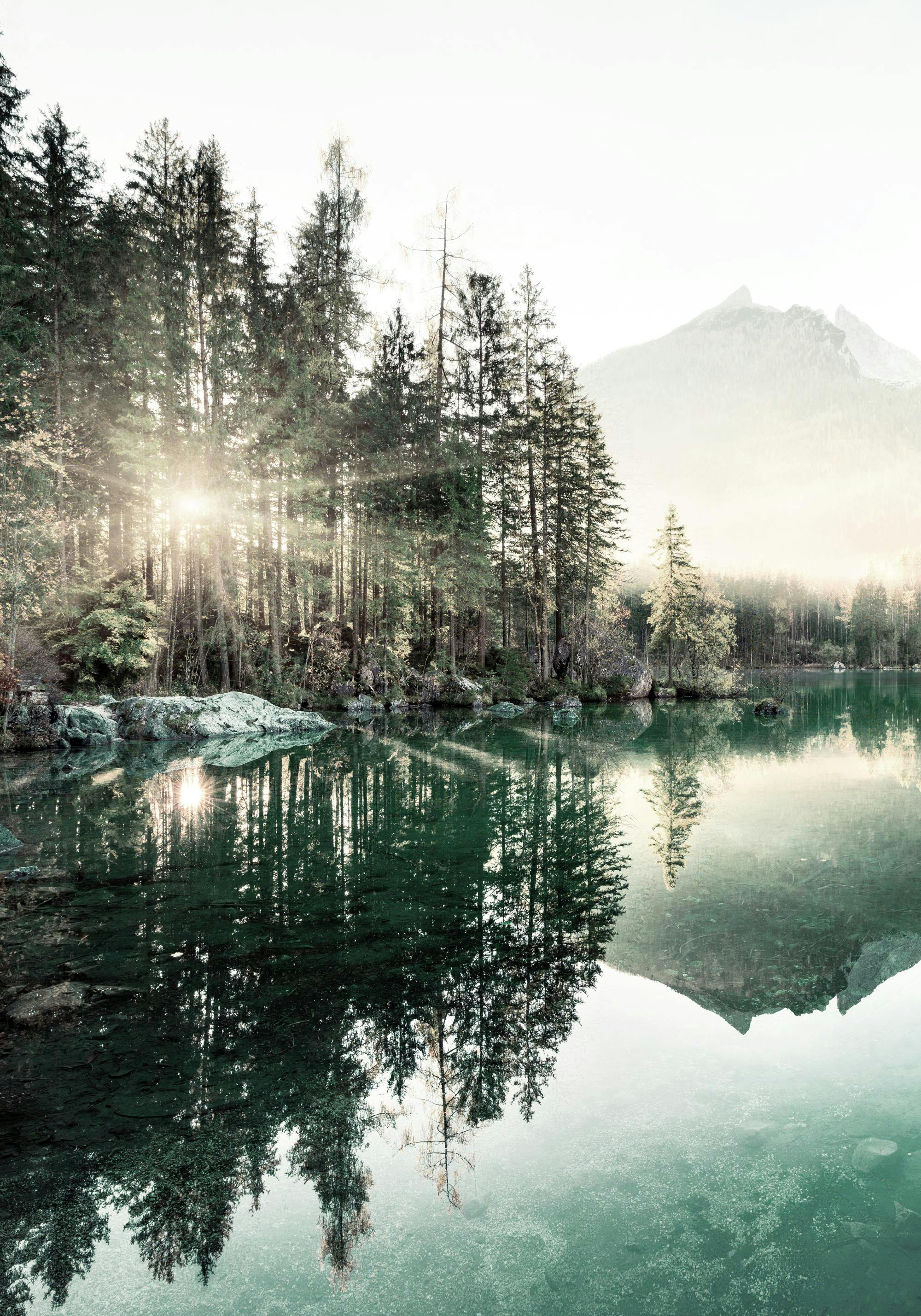 A poster featuring a sunlit forest and mountains reflecting in a clear, tranquil lake.
