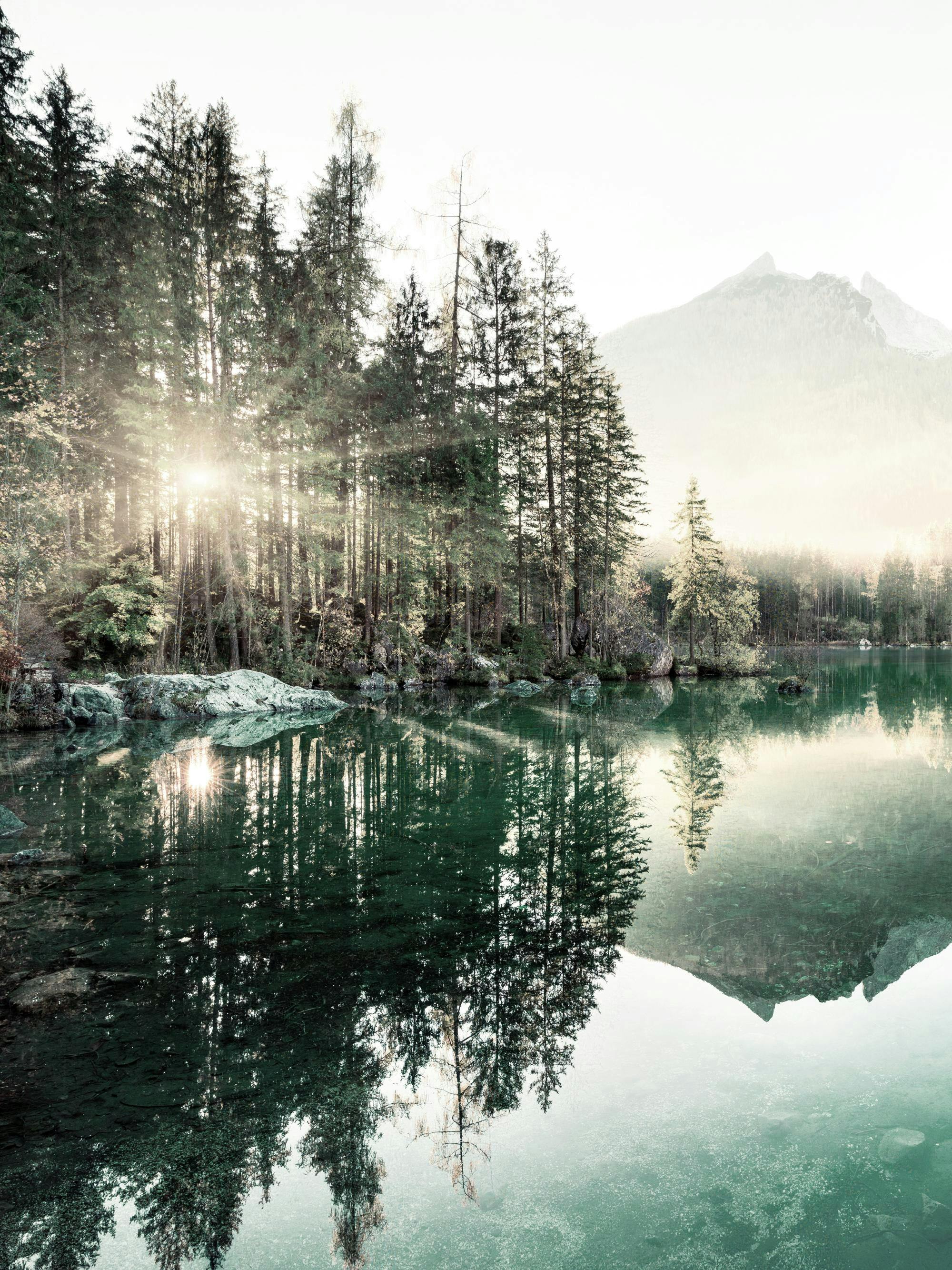 Poster: Sonnenstrahlen durch einen Nadelbaumwald spiegeln sich in einem ruhigen Bergsee mit Bergkulisse.