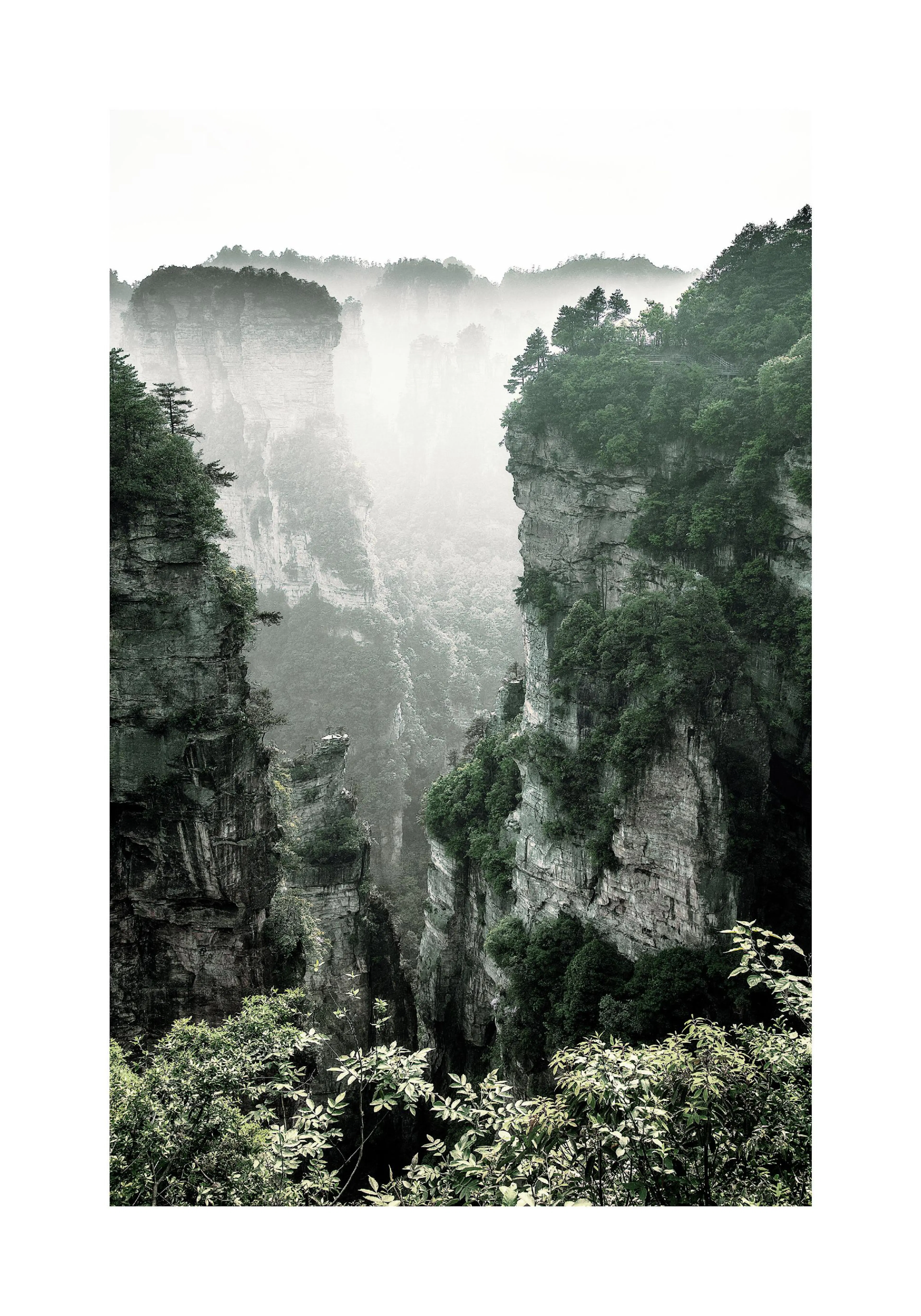 A poster of misty, towering rock formations and lush green trees in a deep valley, evoking a serene natural landscape.
