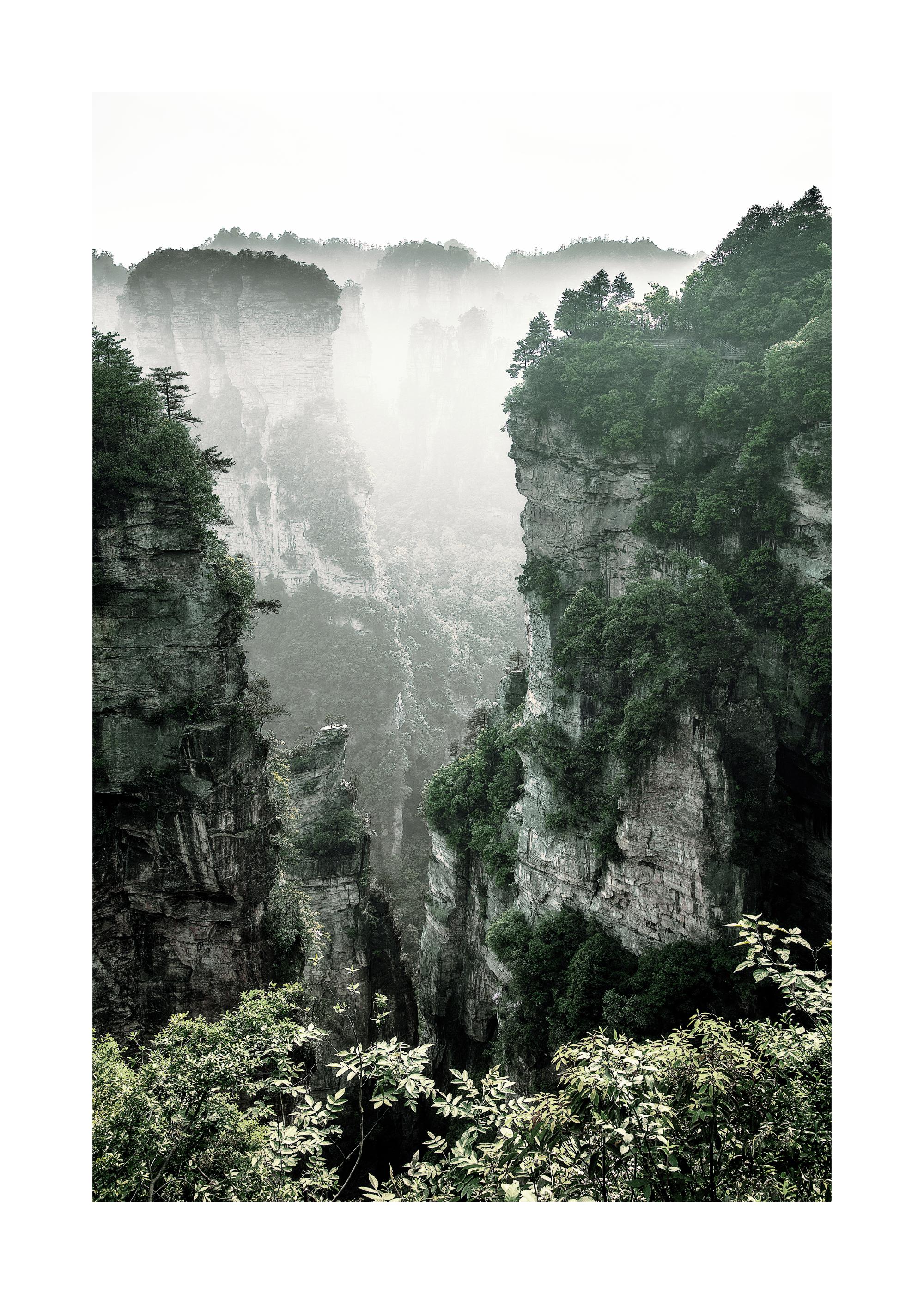 Mountain Tops in Mist Poster with Green Misty Forest | Poster Store US