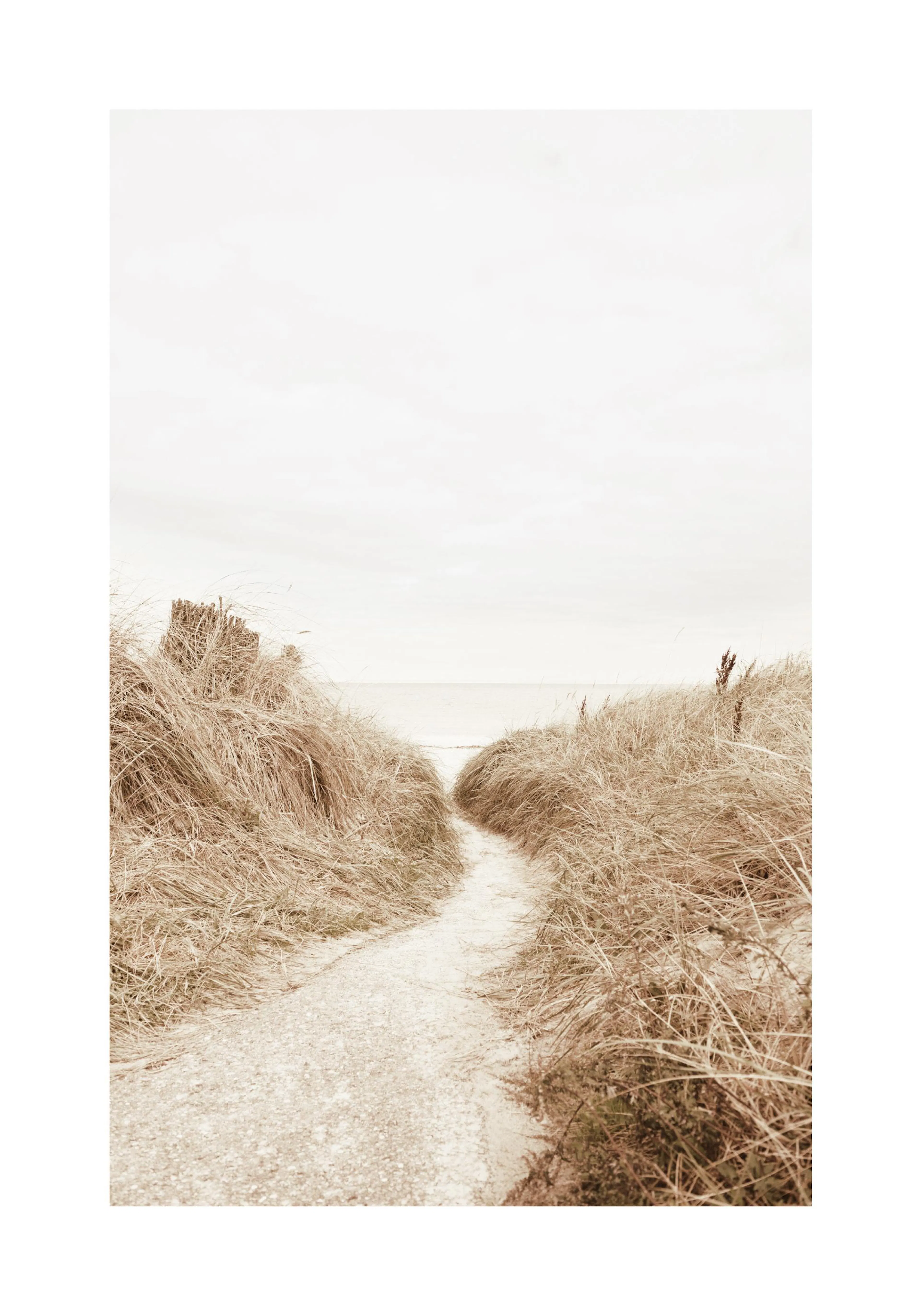 A sepia-toned poster of a sandy path leading through tall, dry dune grass towards a calm ocean and cloudy sky.
