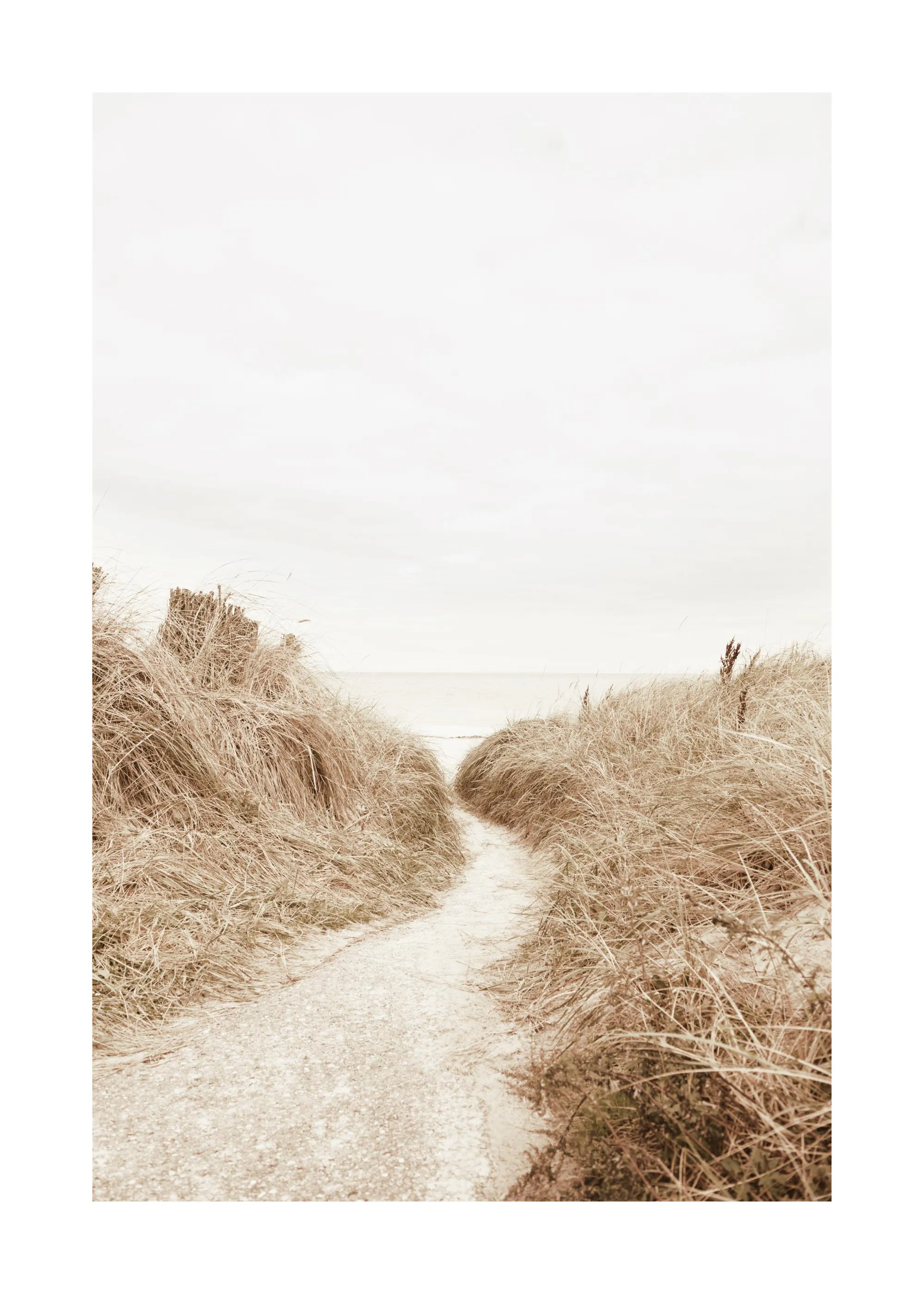 Poster: Ein sandiger Pfad führt durch hohe Dünengräser zum Meer unter einem hellen Himmel.