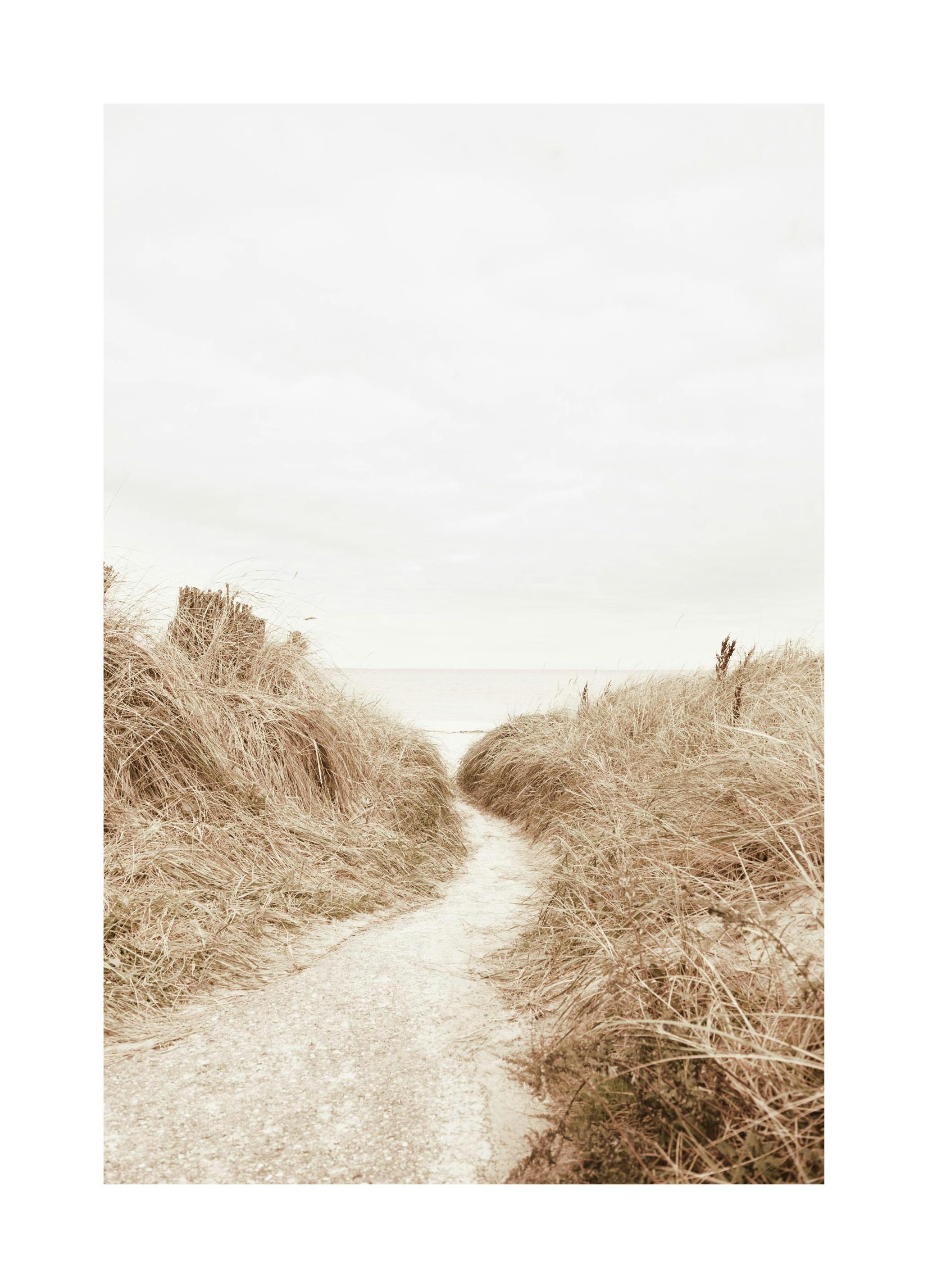 Spaziergang zum Strand Poster (30x40 cm) - Poster Store
