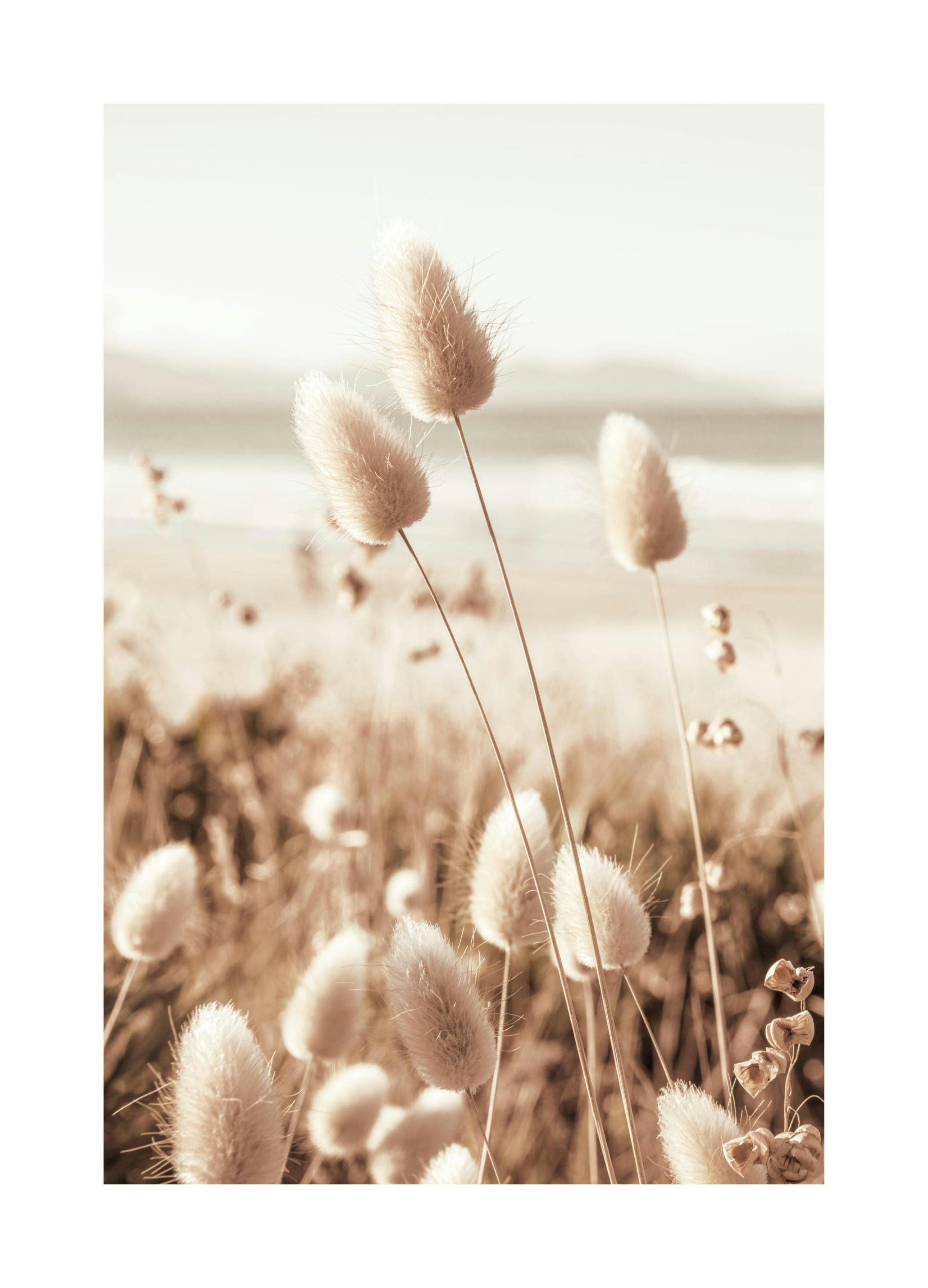 Strand Gras Poster (21x30 cm) - Poster Store