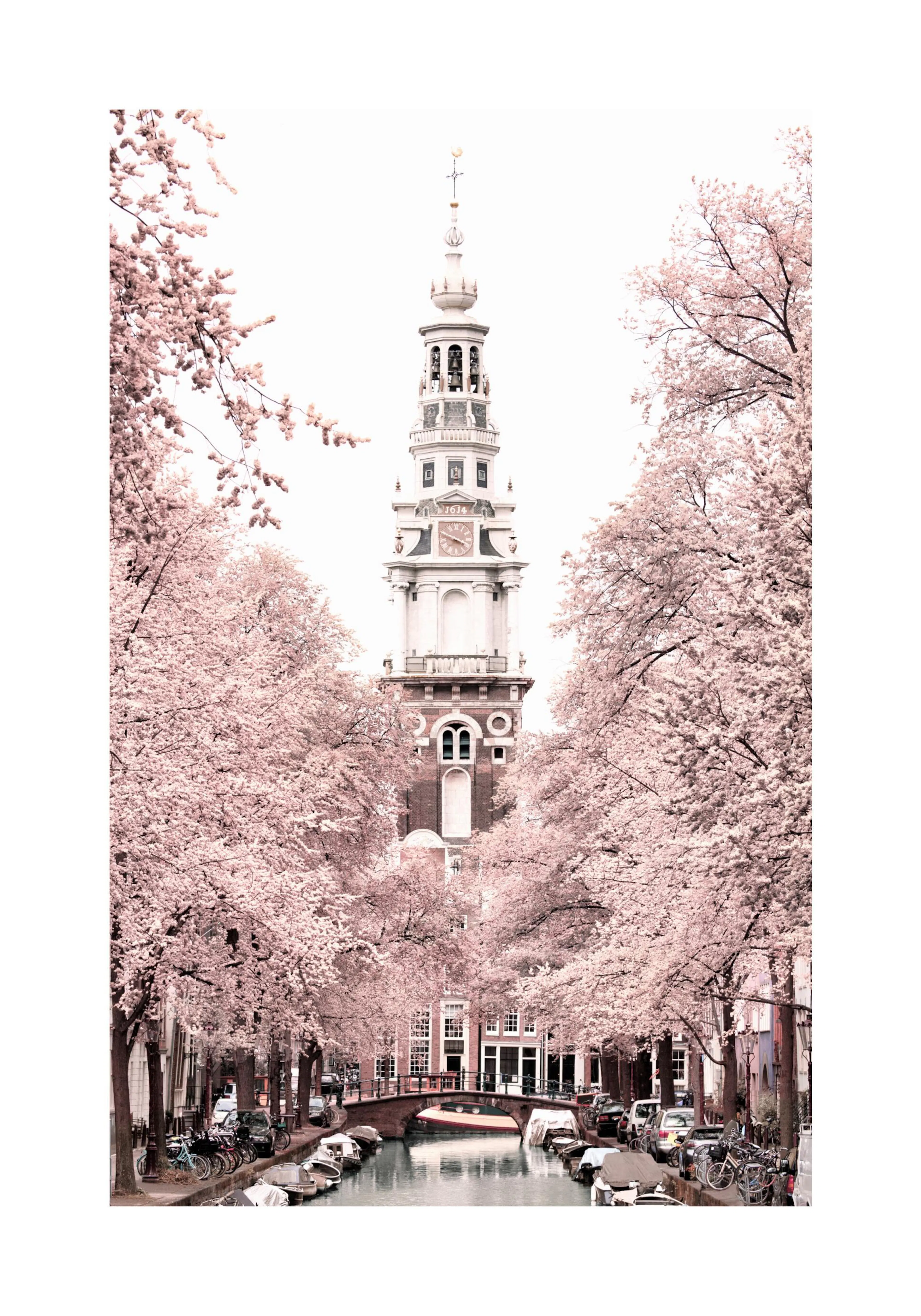 A poster featuring a canal in Amsterdam lined with blooming pink cherry blossom trees, leading to a distant church tower.