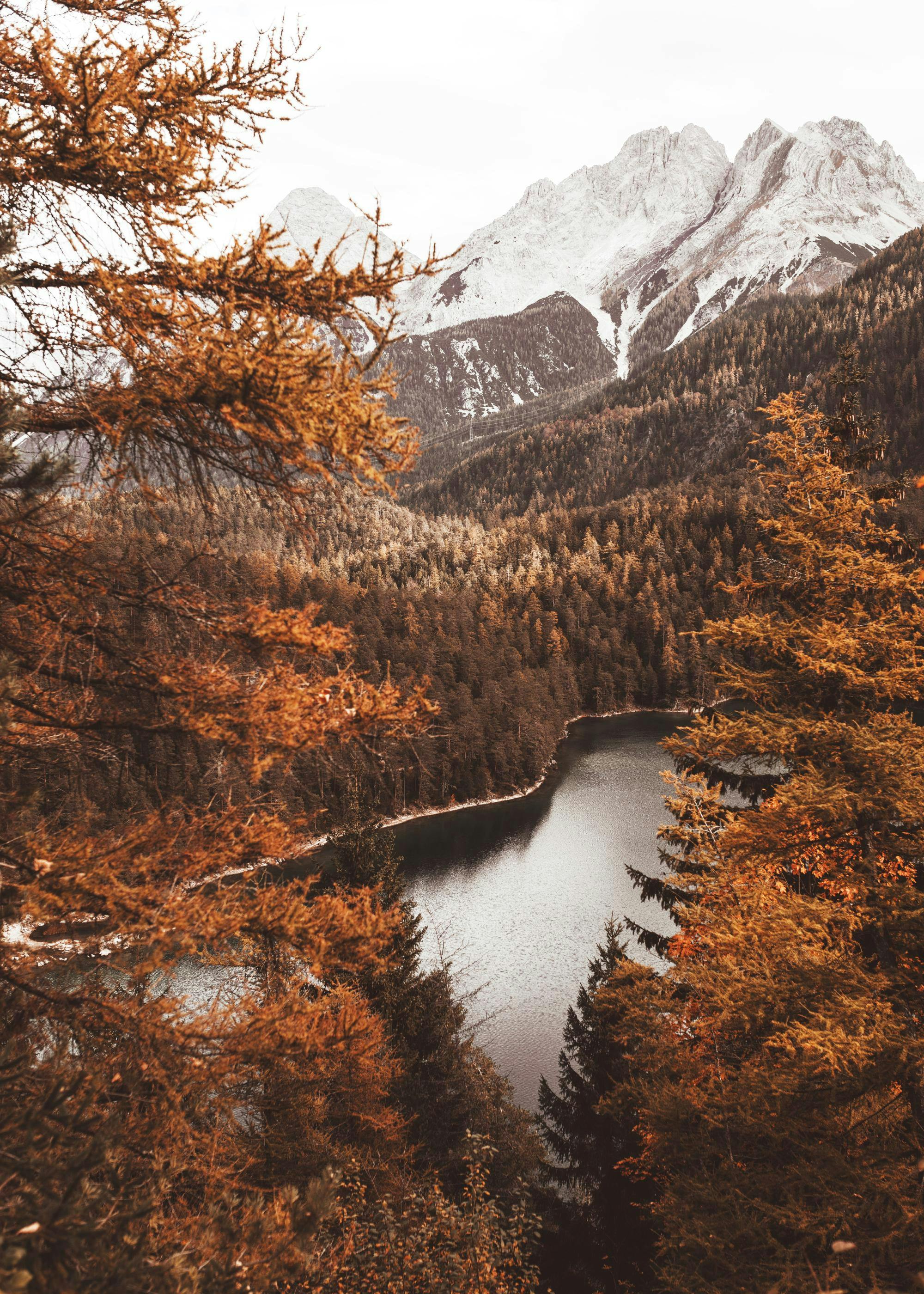 A poster featuring a scenic view of a lake and autumn forest with snowy mountains in the background.