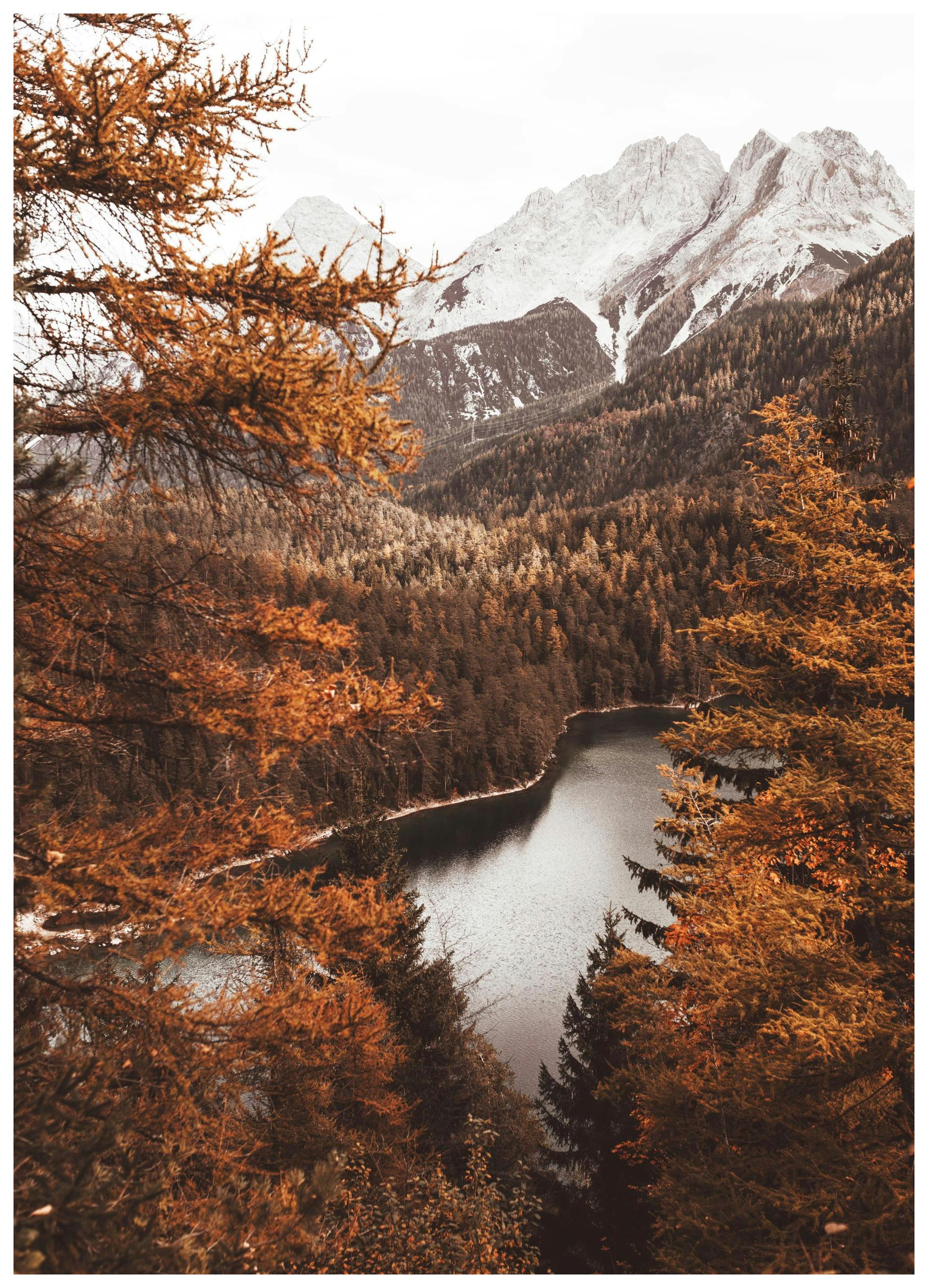Lake View Poster (50x70 cm) - Poster Store
