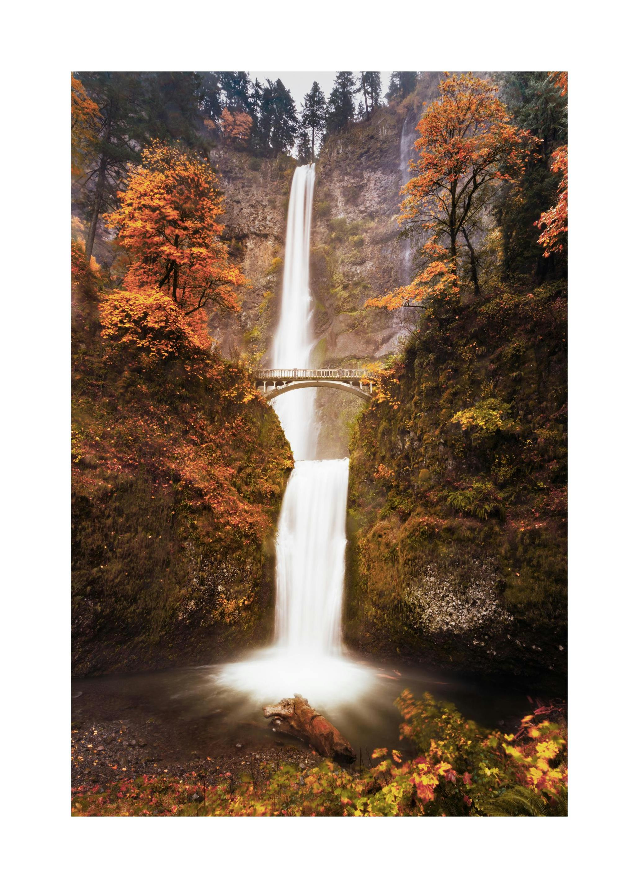 Waterval in de Herfst Poster (50x70 cm) - Poster Store