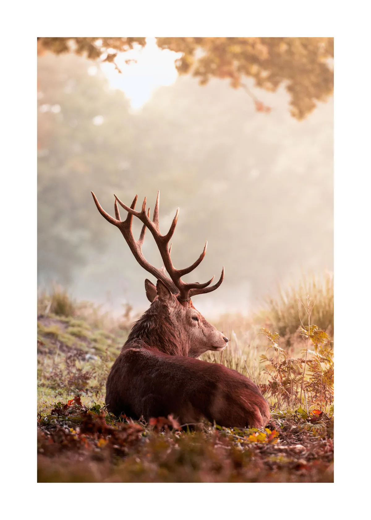 Wandbilder Sch ne Poster Wandbilder Online Kaufen Posterstore de wandbilder-sch-ne-poster-wandbilder-online-kaufen-posterstore-de