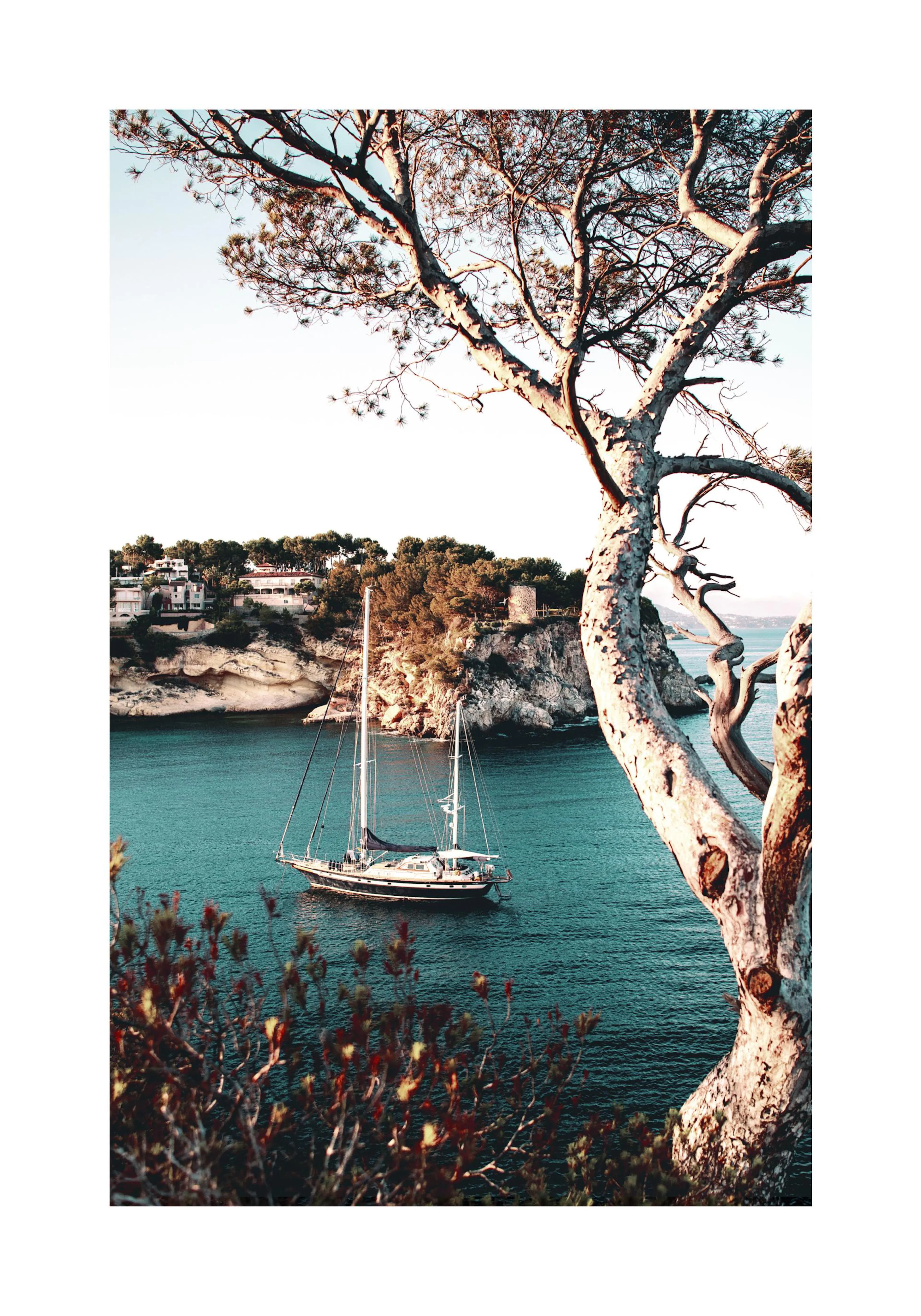 A poster featuring a sailboat in a calm blue bay, seen through the foreground of a gnarled tree and coastal foliage.