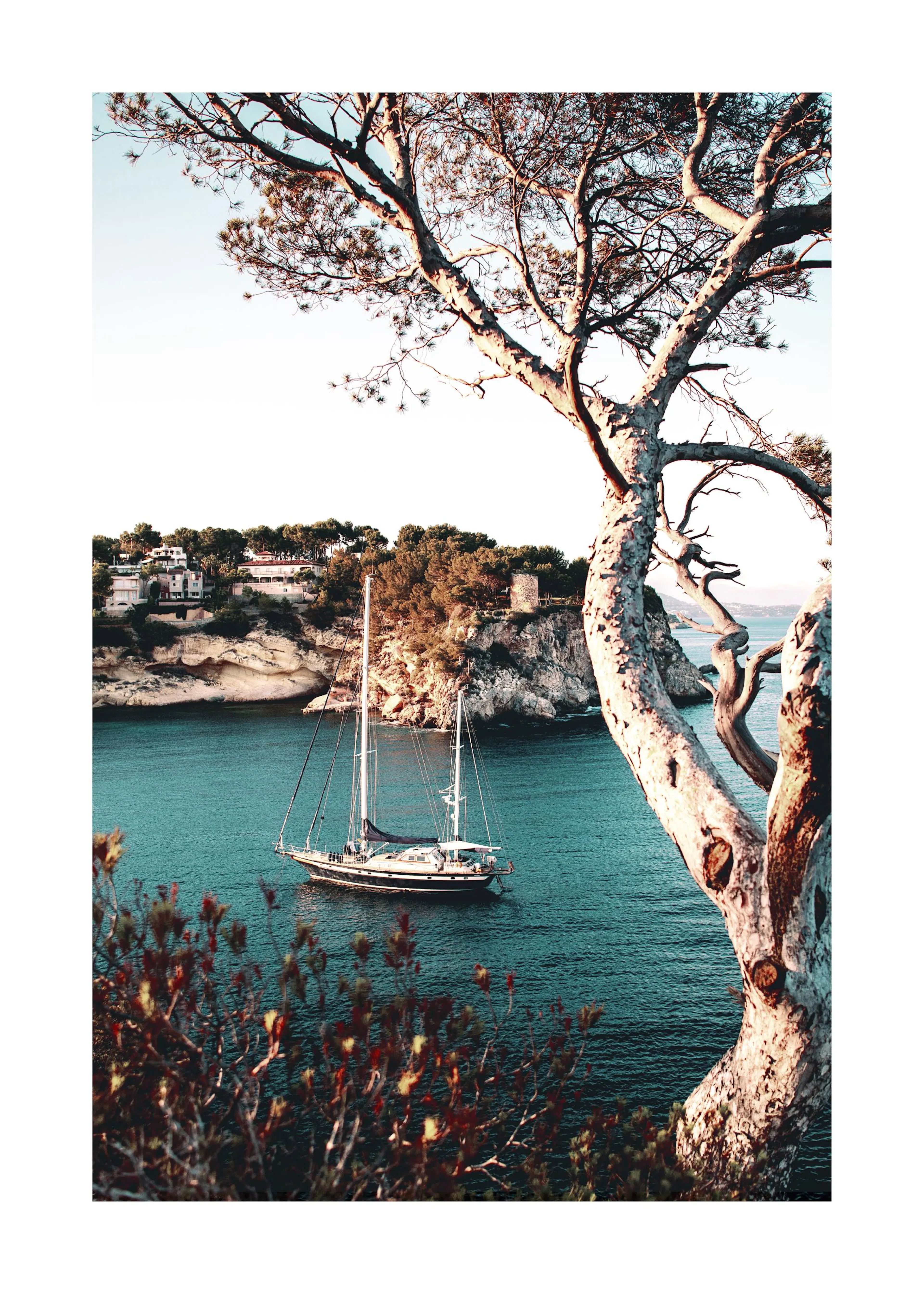 Poster mit einer Segelyacht in einer Bucht, umrahmt von einem Baum und Klippen.