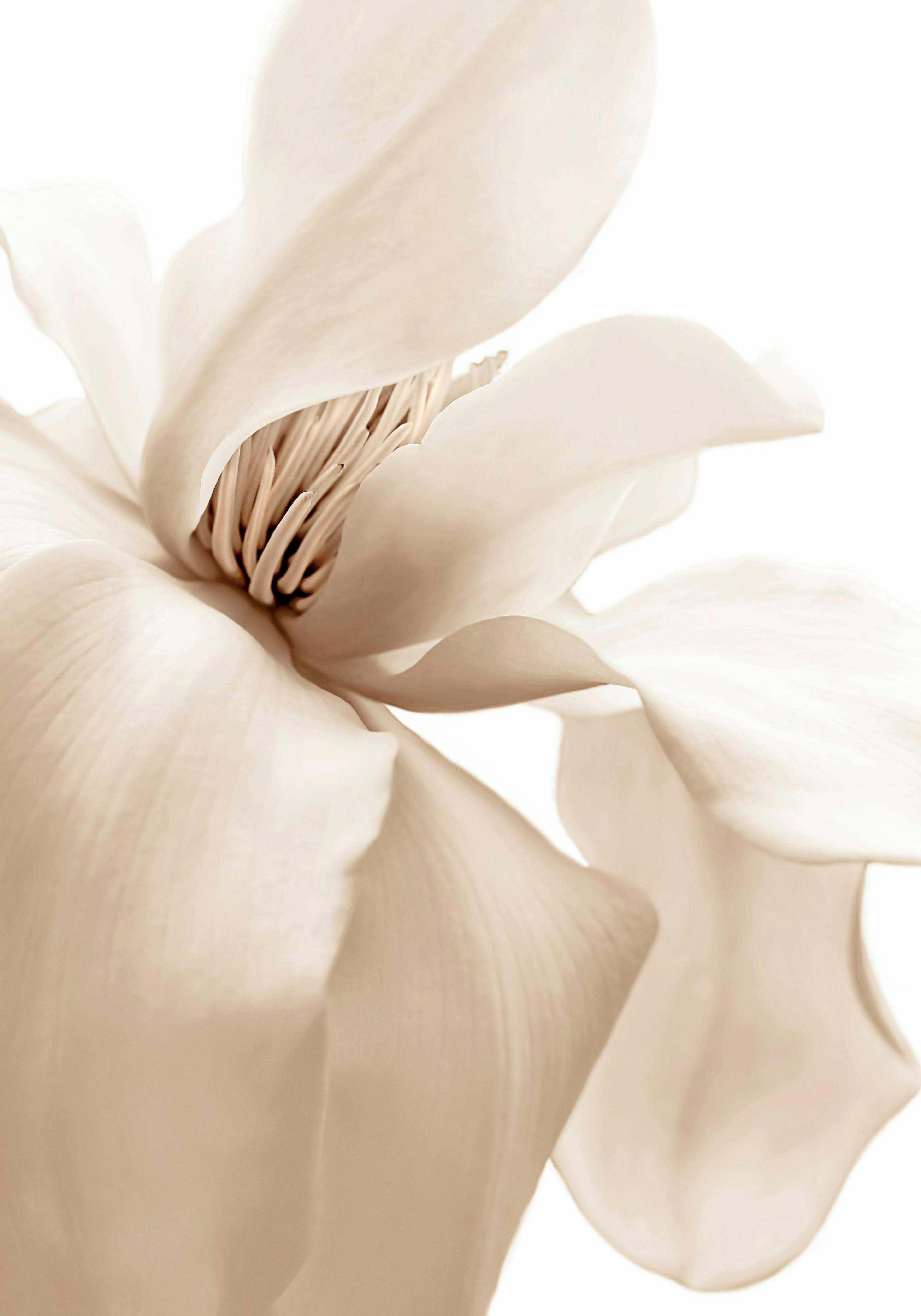 Product image: 1