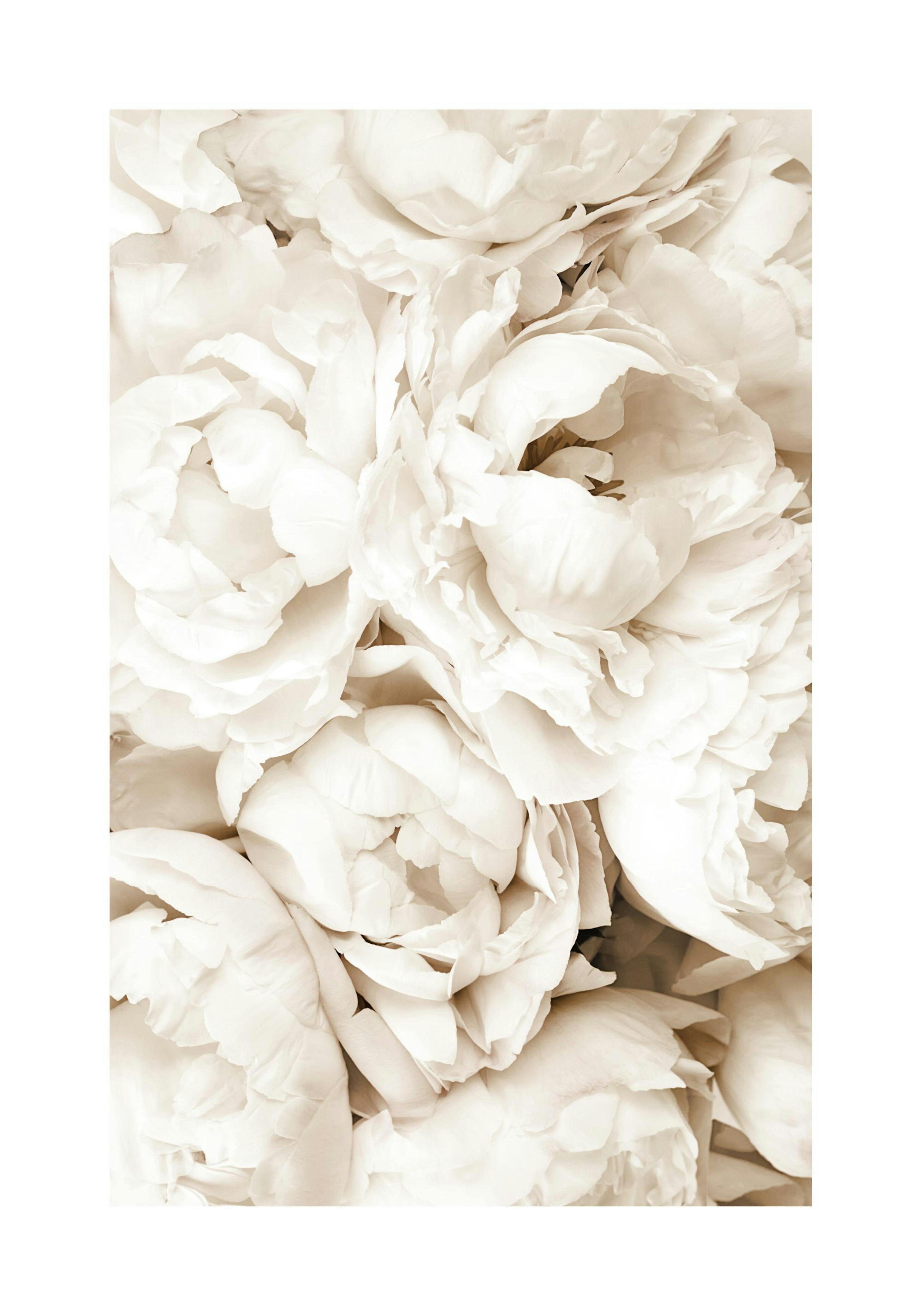 Product image: 1