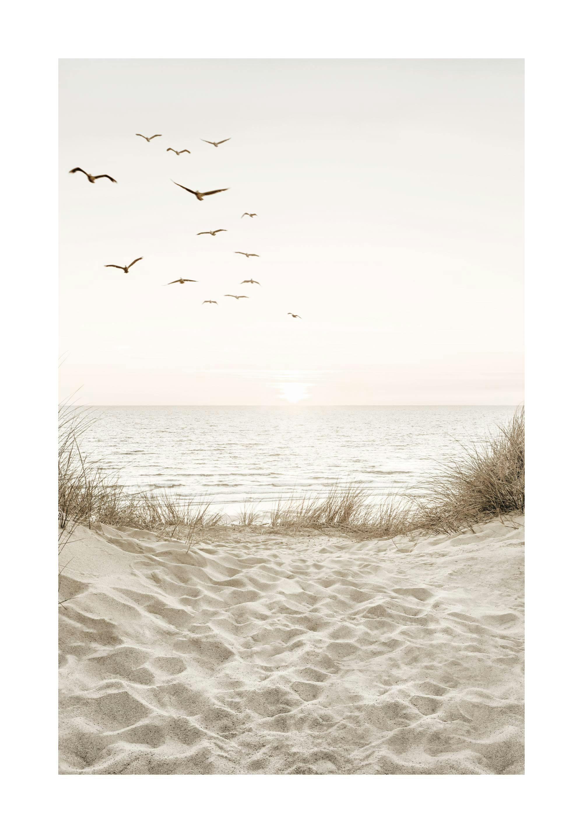 Rannalta merelle päin avautuva juliste, jossa on hiekkaa ja kuivaa rannikon kasvillisuutta sekä taivaalla lentäviä lokkeja. Auri