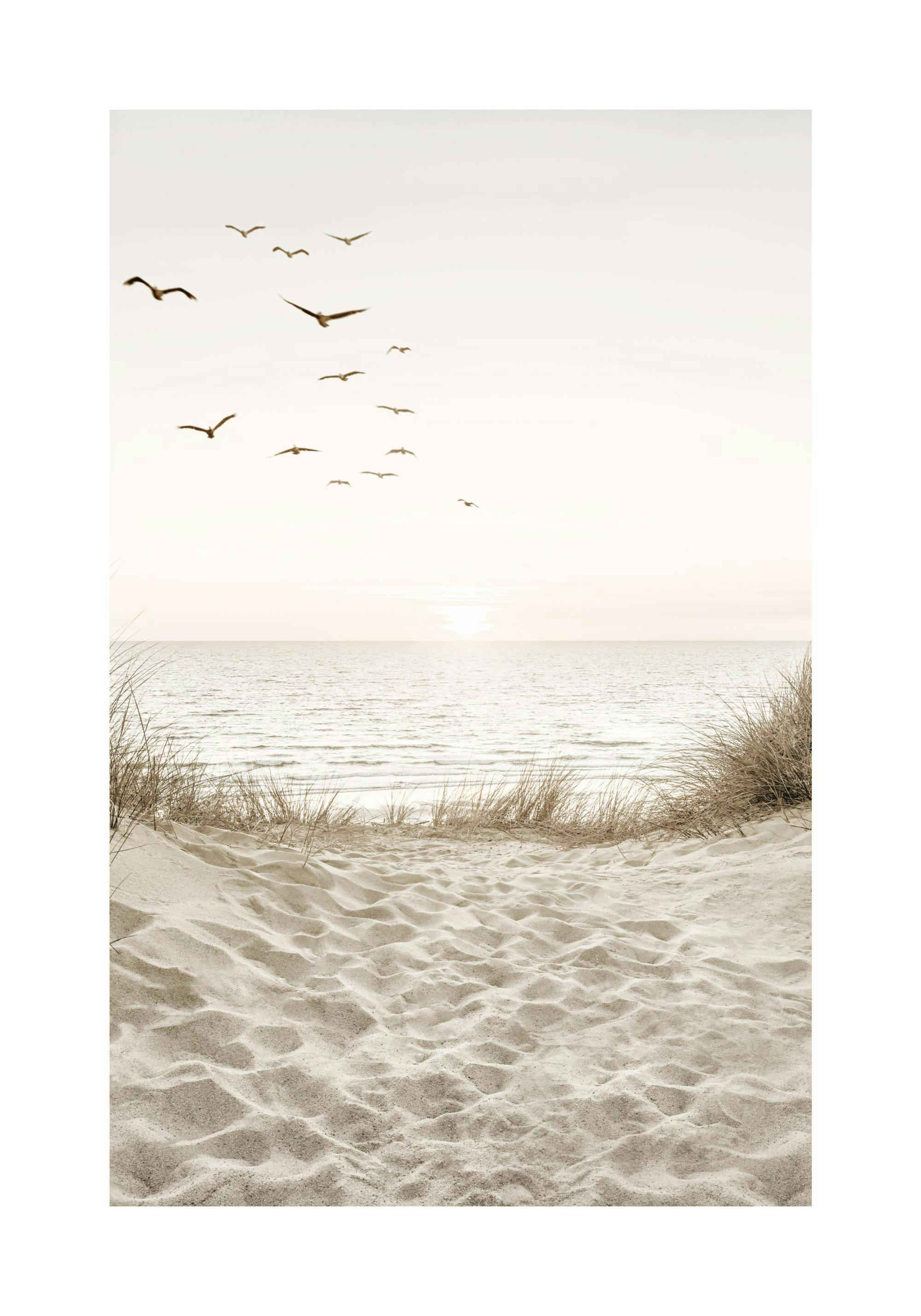 Poster van een zonsondergang of zonsopgang boven zee, met duinzand en vliegende vogels.