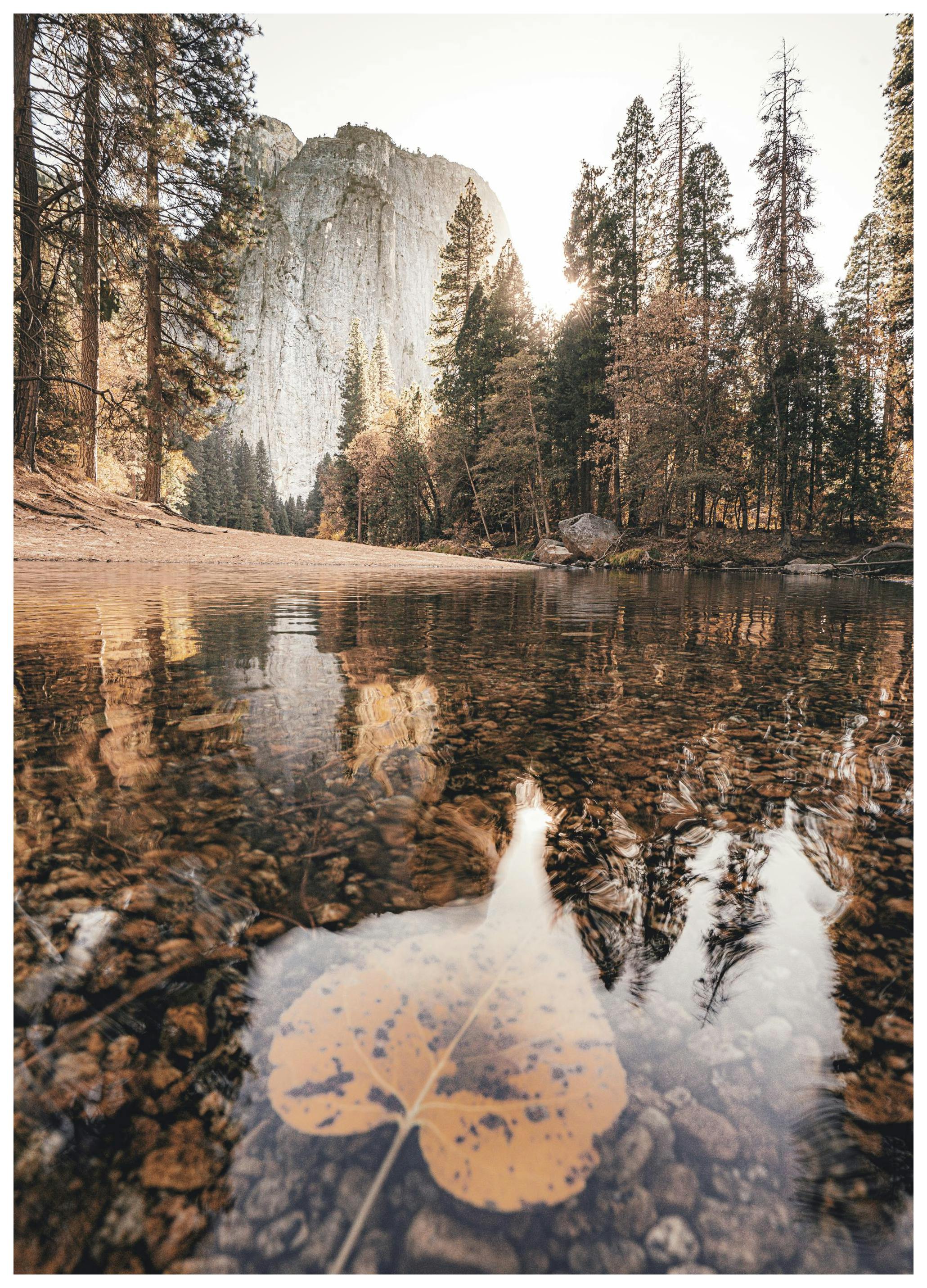 Plakat Jesień w Yosemite (30x40 cm) - Poster Store