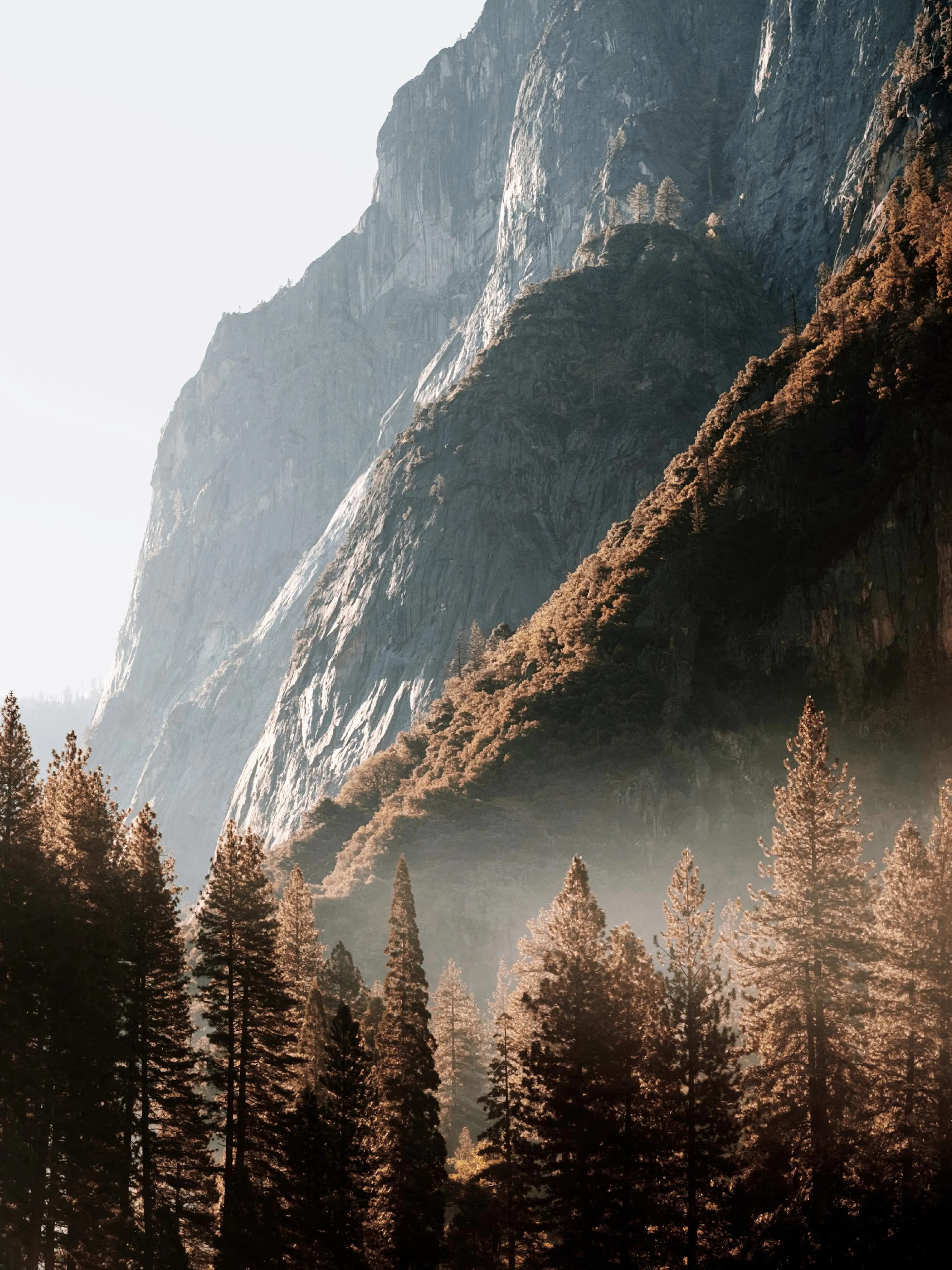 A poster depicting a misty mountain landscape with dark green pine trees in the foreground and light grey cliffs.