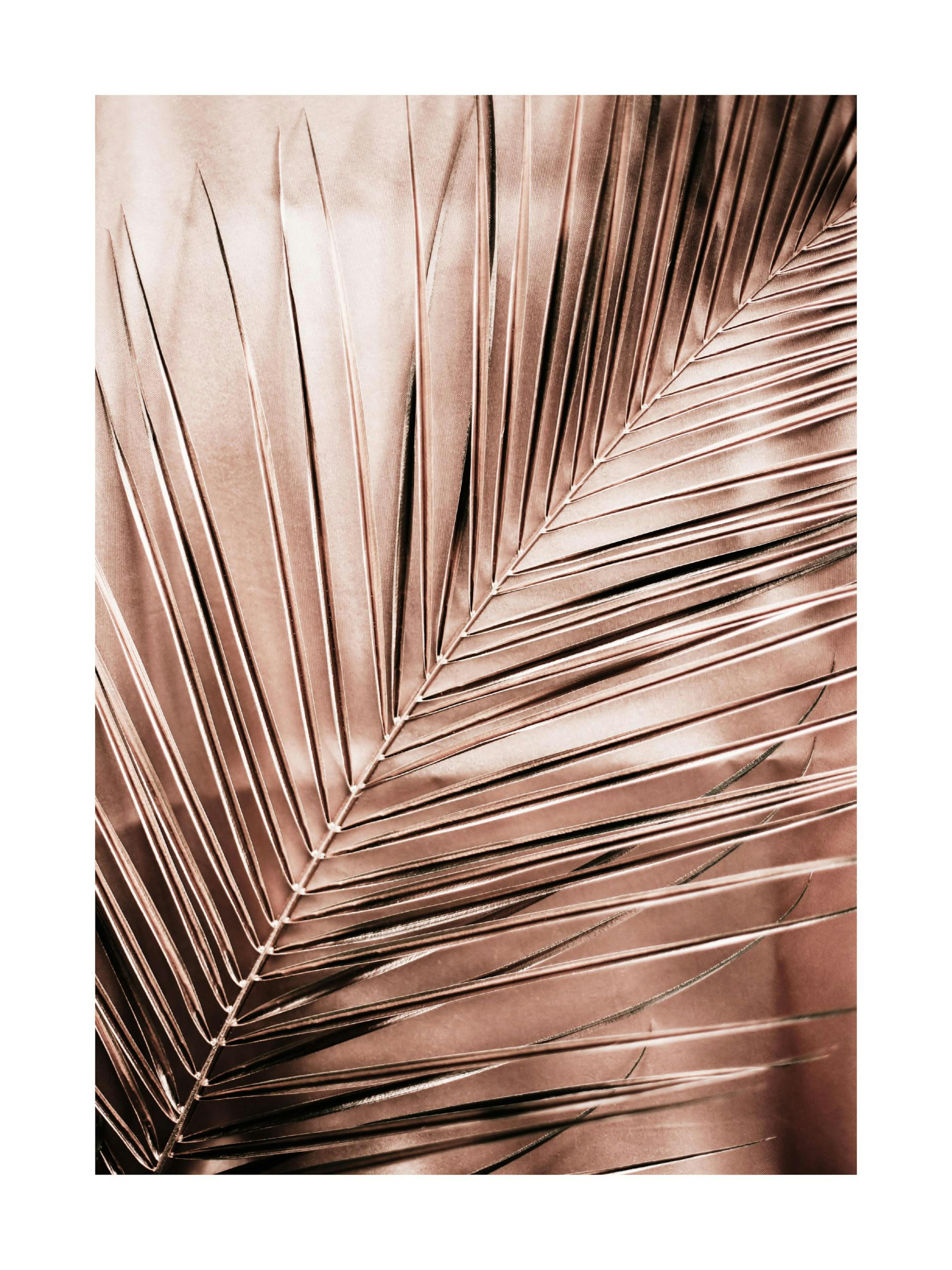 Product image: 1