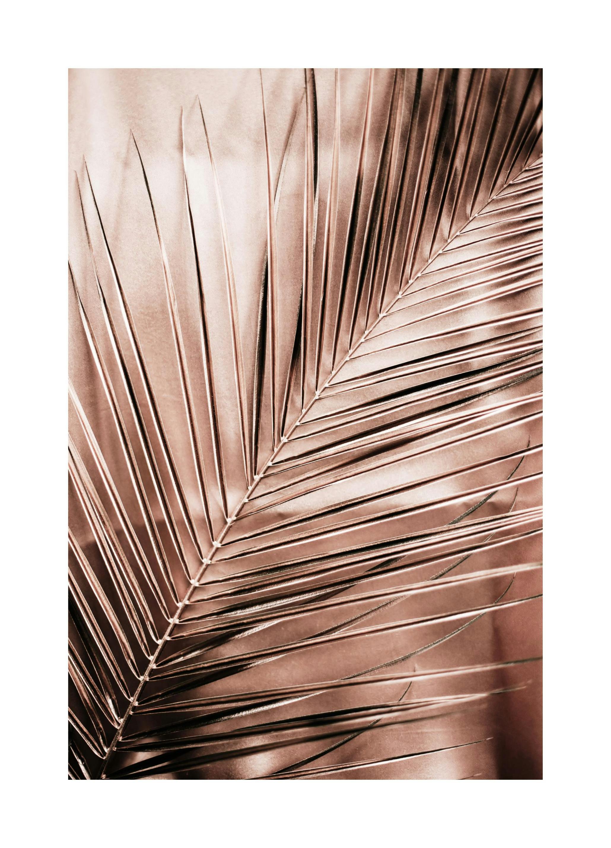 Rosé Palm Leaf Poster (50x70 cm) - Poster Store