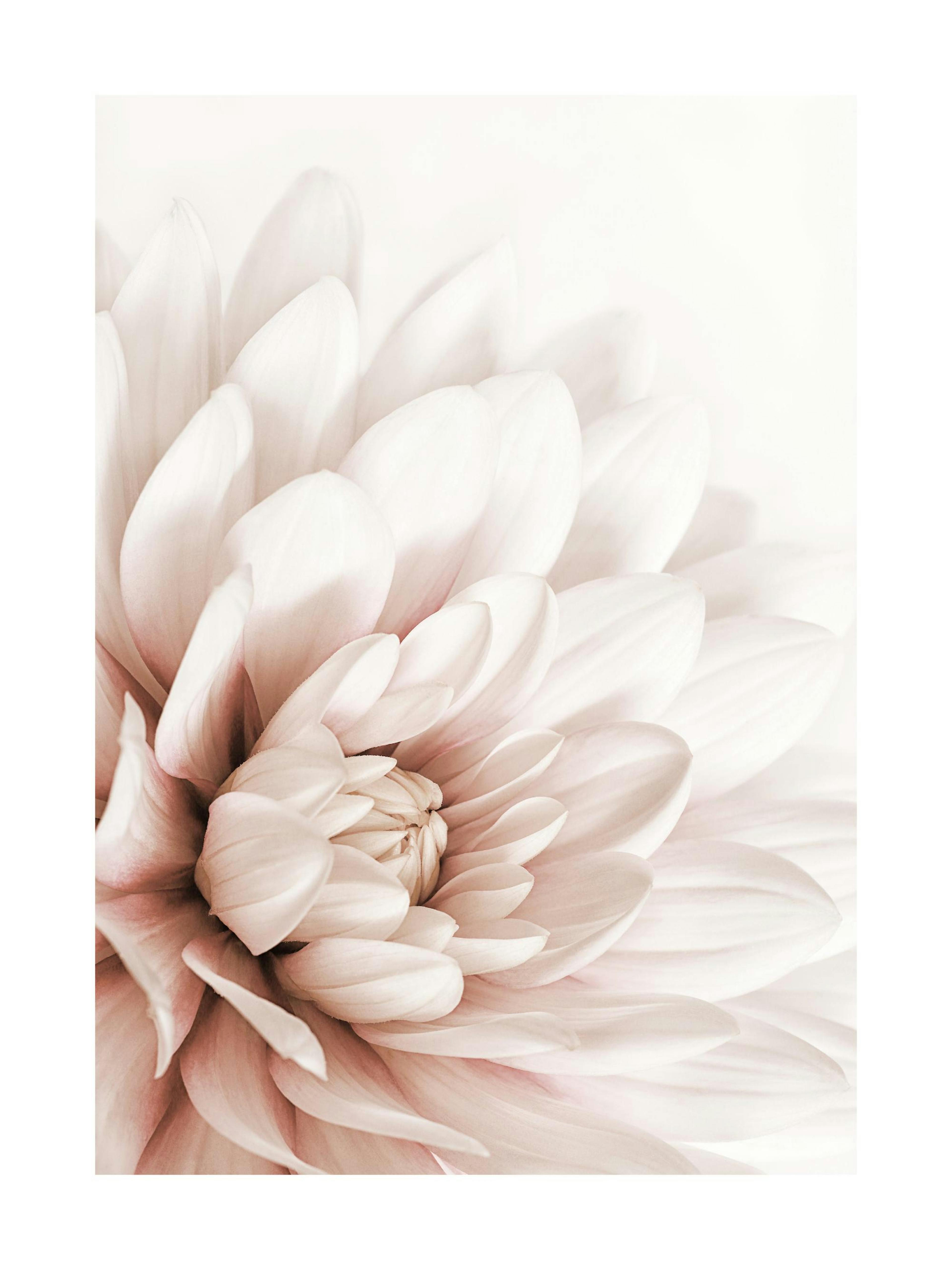 Product image: 1