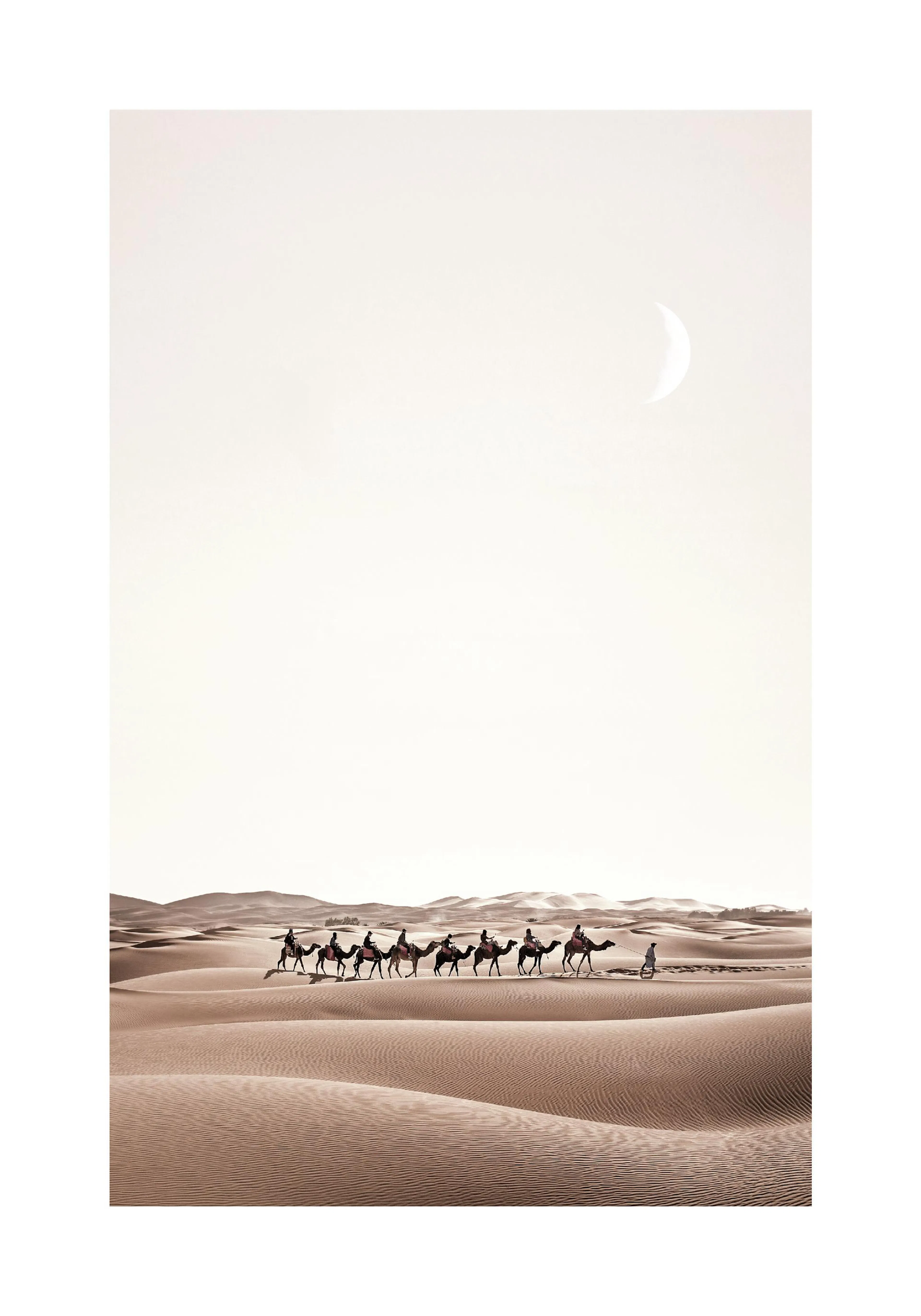 A poster depicting a caravan of camels and people traversing a vast desert with a crescent moon in the light sky.