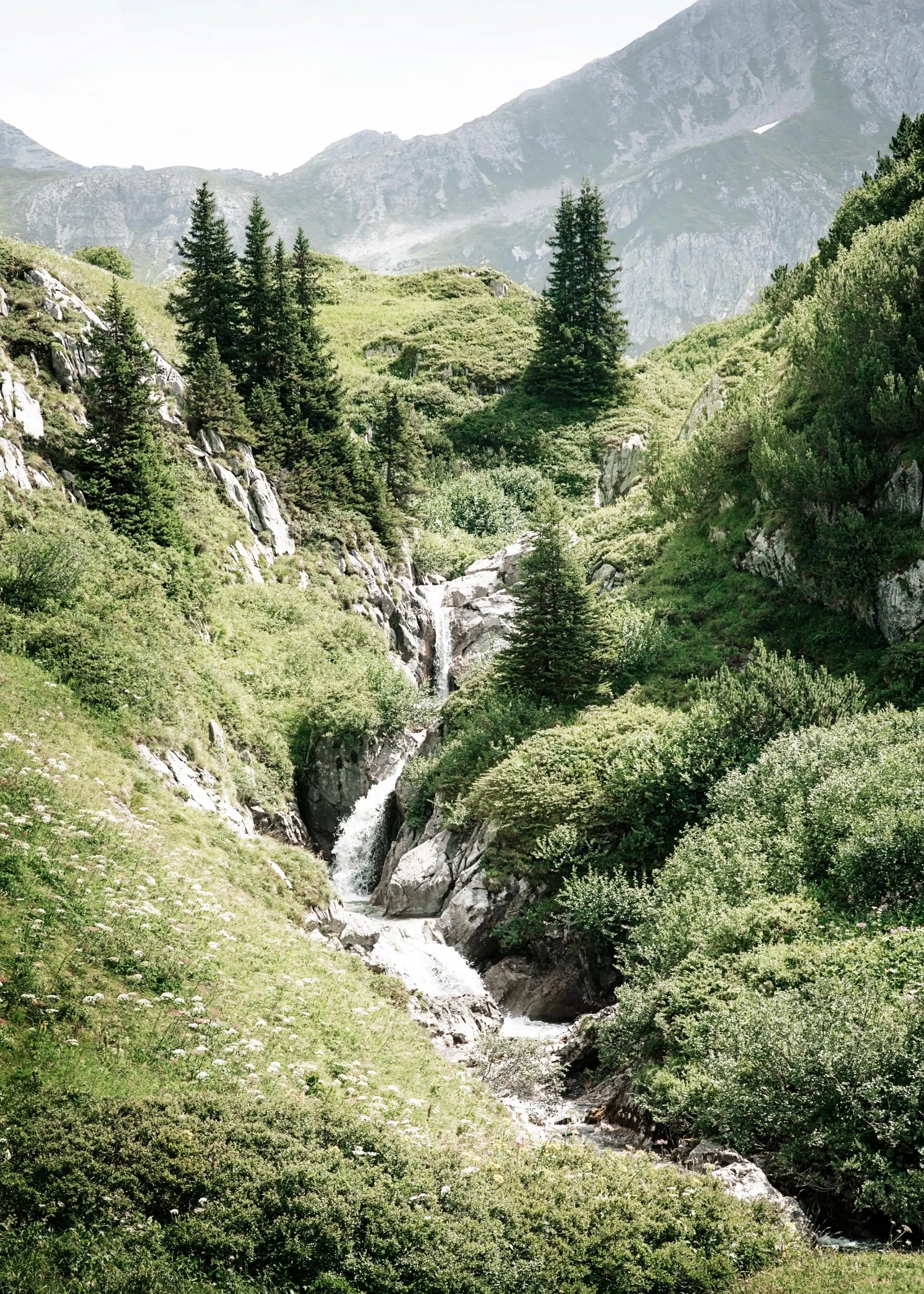 Ein Poster eines Wasserfalls, der sich durch eine grüne Berglandschaft mit Felsen und Bäumen schlängelt.