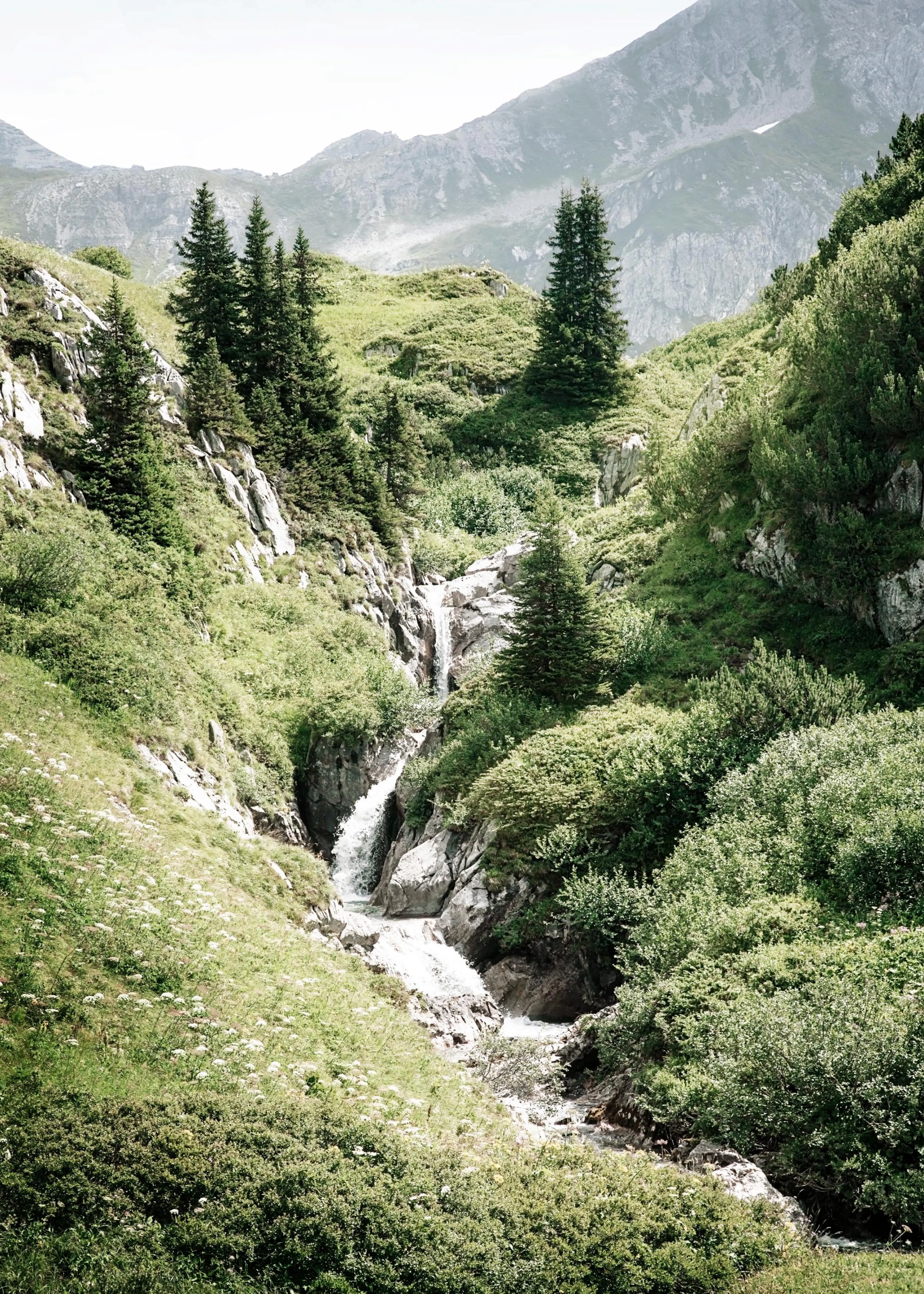 Ein Poster eines Wasserfalls, der sich durch eine grüne Berglandschaft mit Felsen und Bäumen schlängelt.