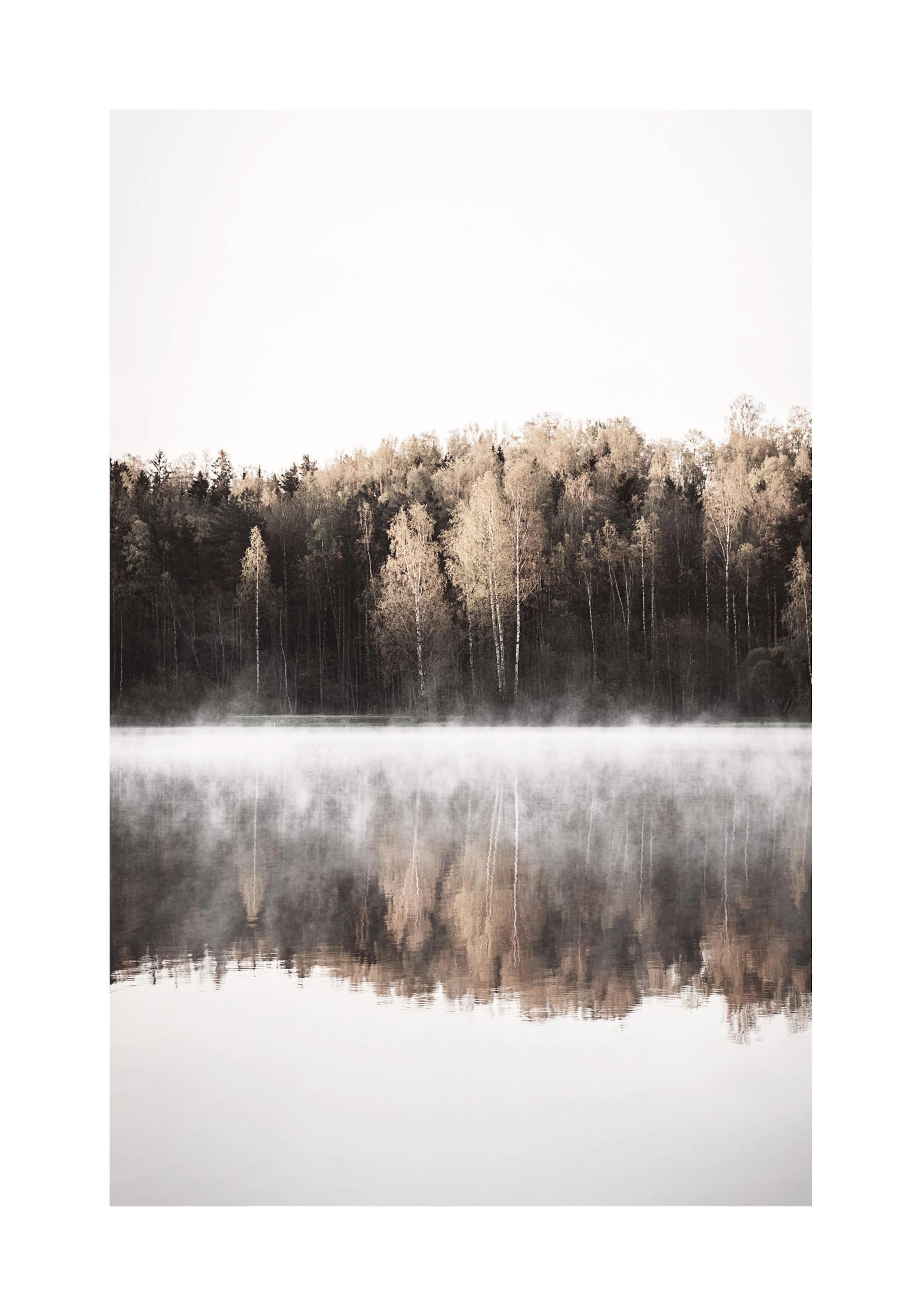 A poster depicting a misty lake with trees reflected in the water under a pale sky.