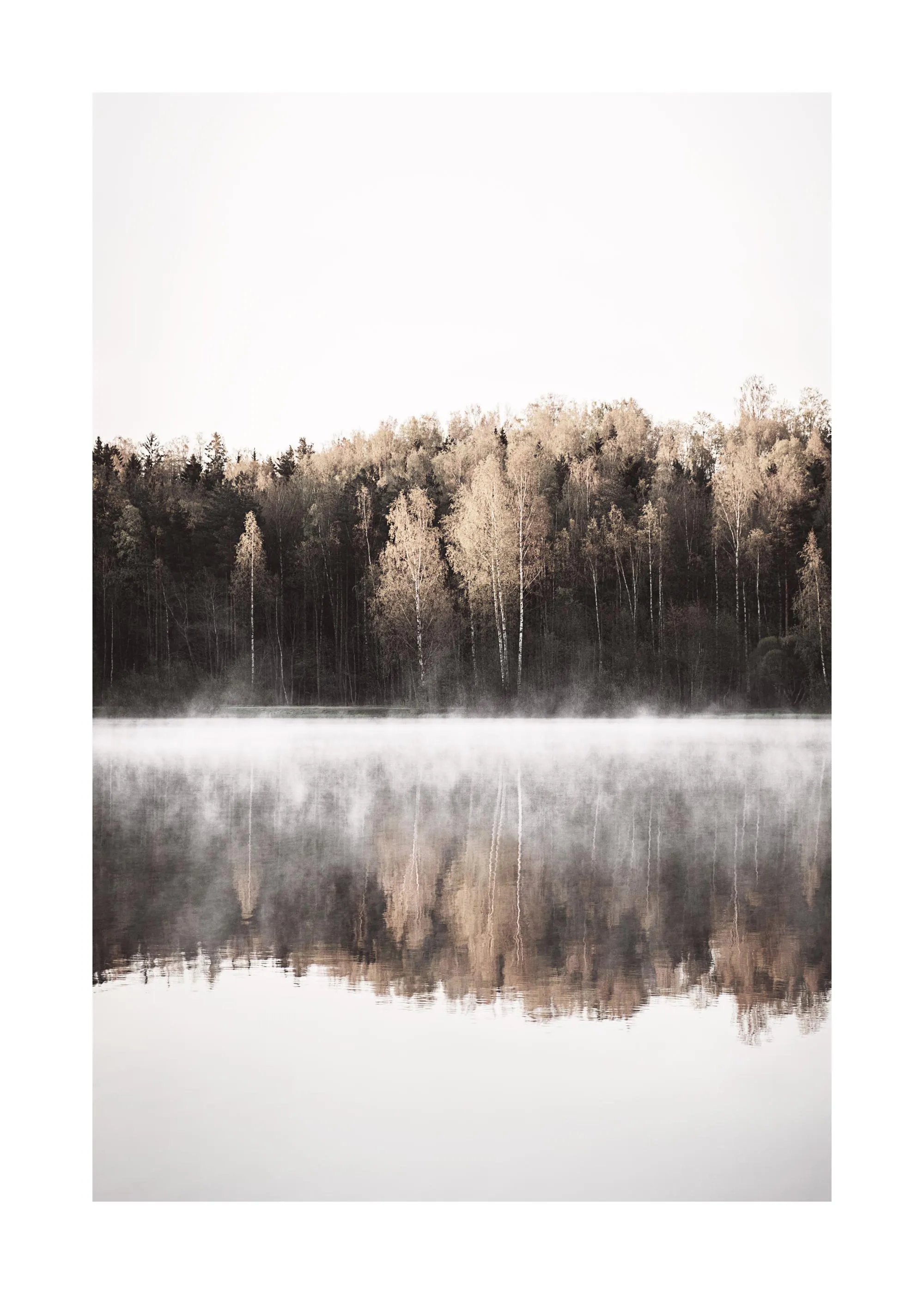 Poster eines Waldes mit Nebel über einem See, der sich im Wasser spiegelt.