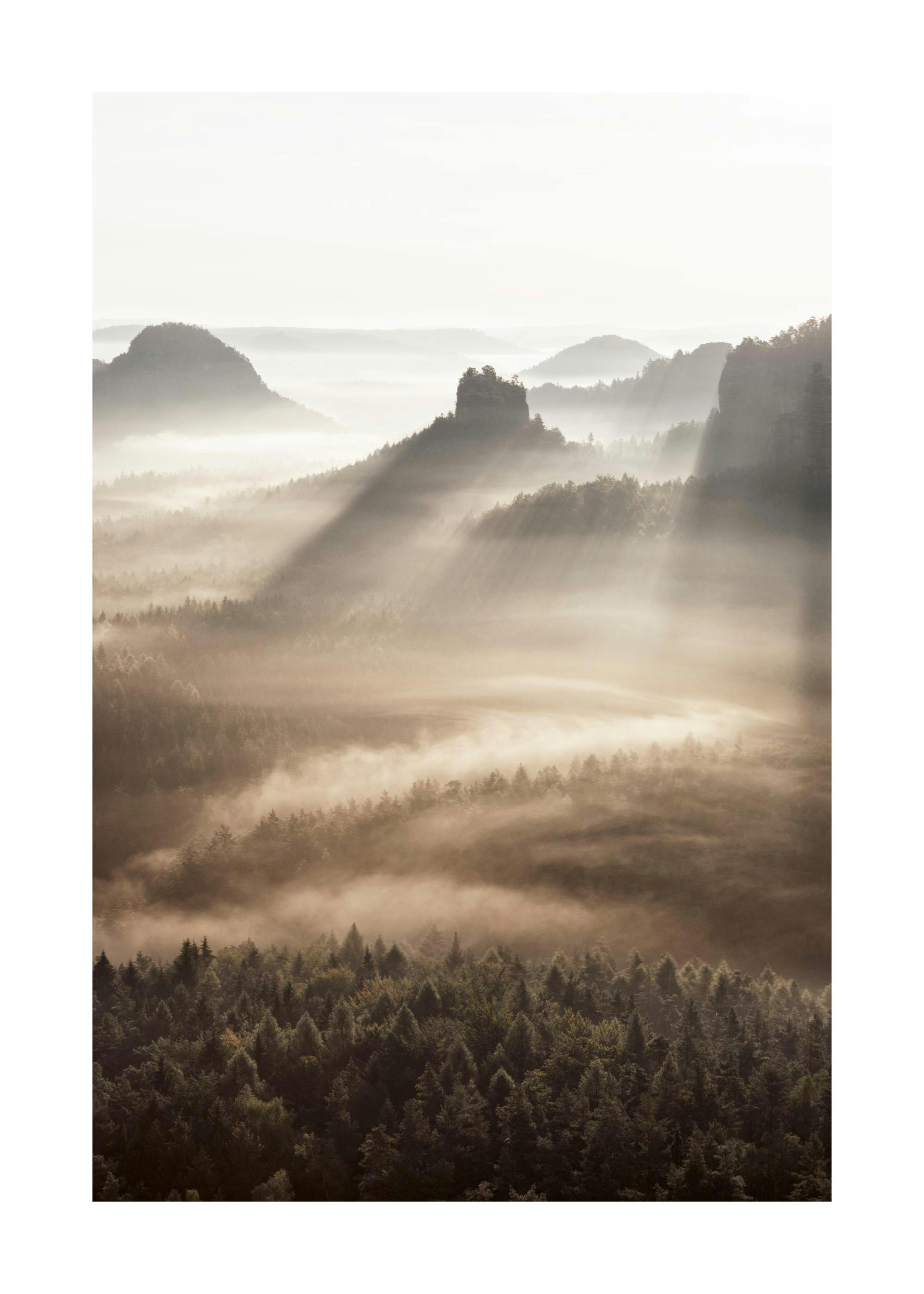 Un poster di una foresta avvolta dalla nebbia mattutina, con montagne che si ergono sullo sfondo e raggi di luce.