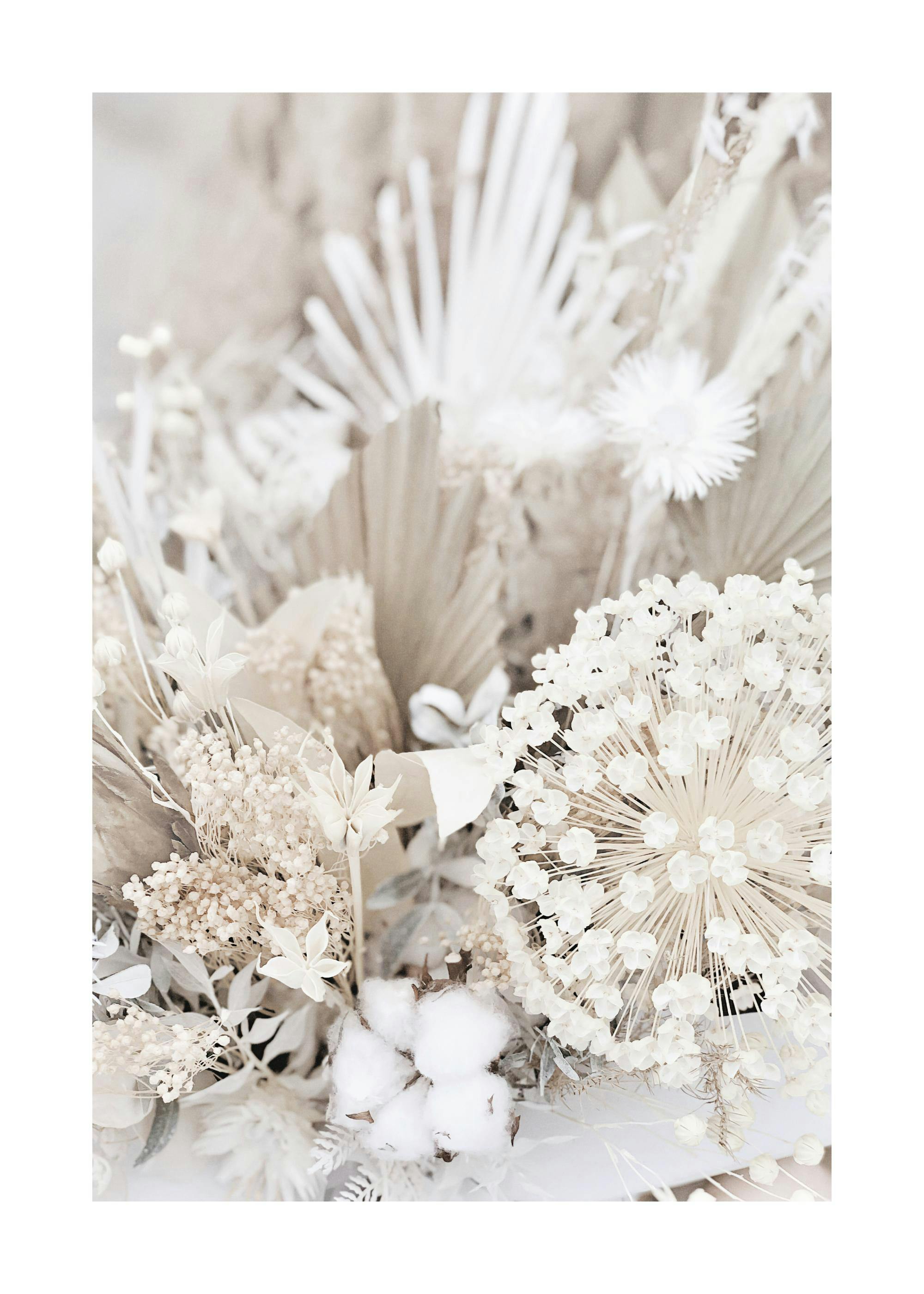 Póster de un arreglo floral de flores secas y algodón en tonos blancos y neutros.