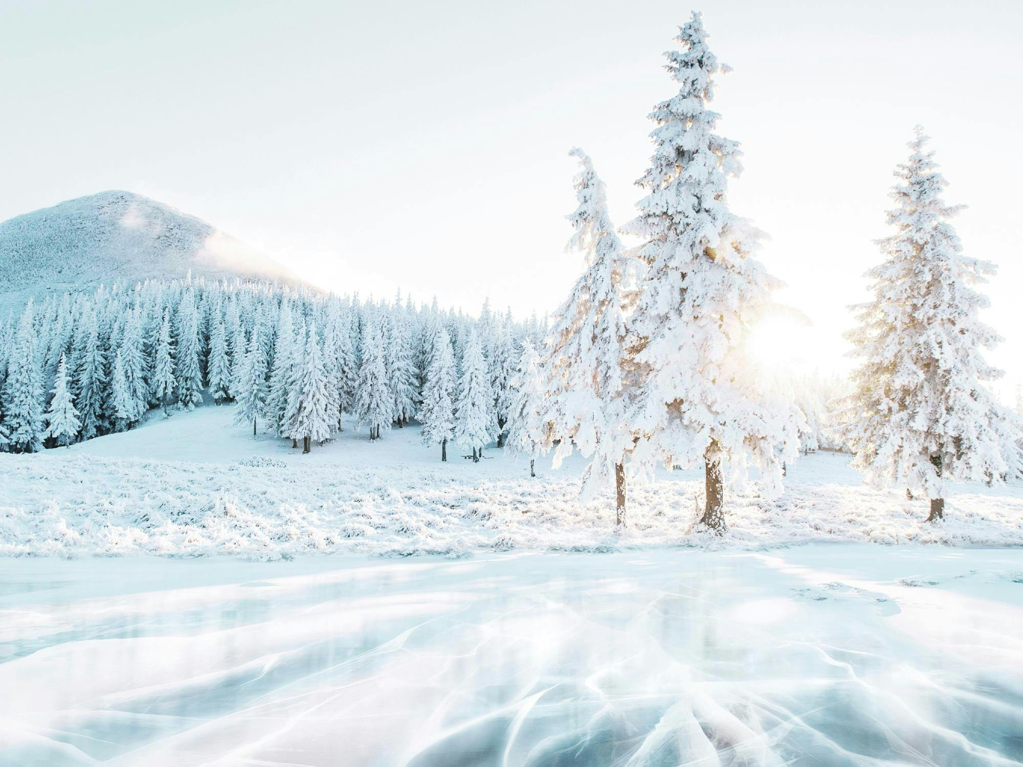 Poster mit verschneiten Tannenbäumen und einem gefrorenen See in einer Winterlandschaft bei Sonnenlicht.