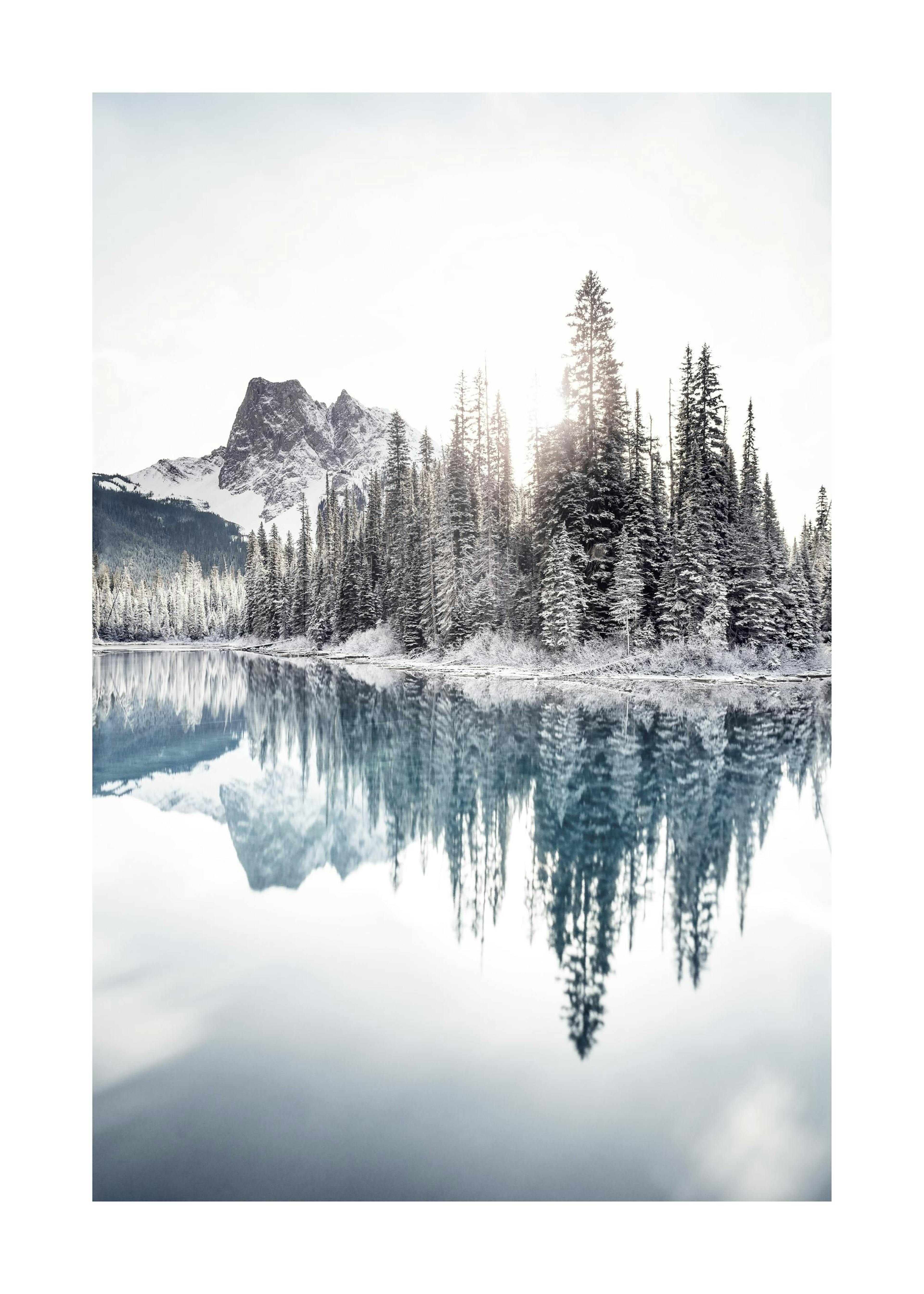 Winter Reflections Poster 0