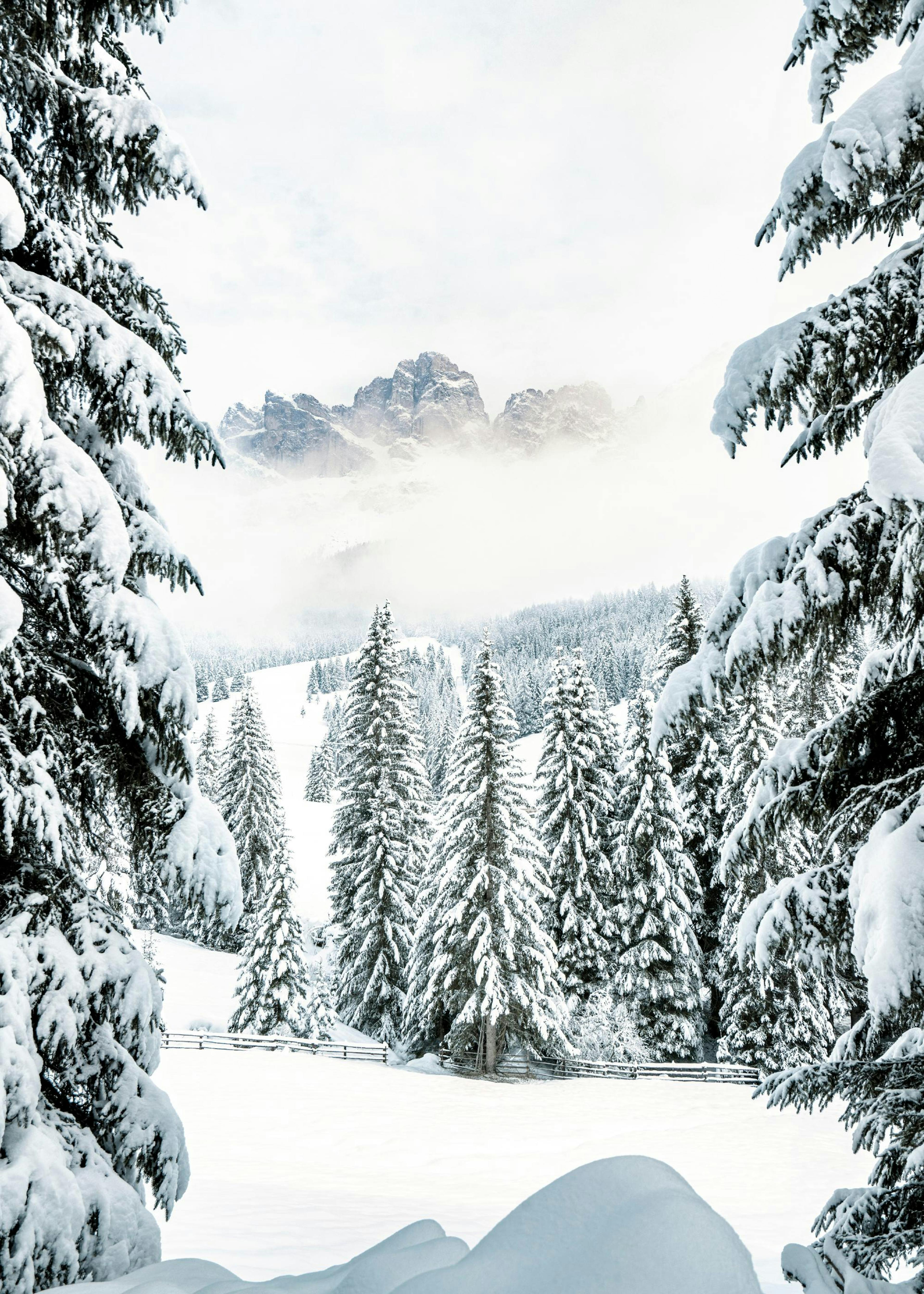 Winter Valley Poster 0